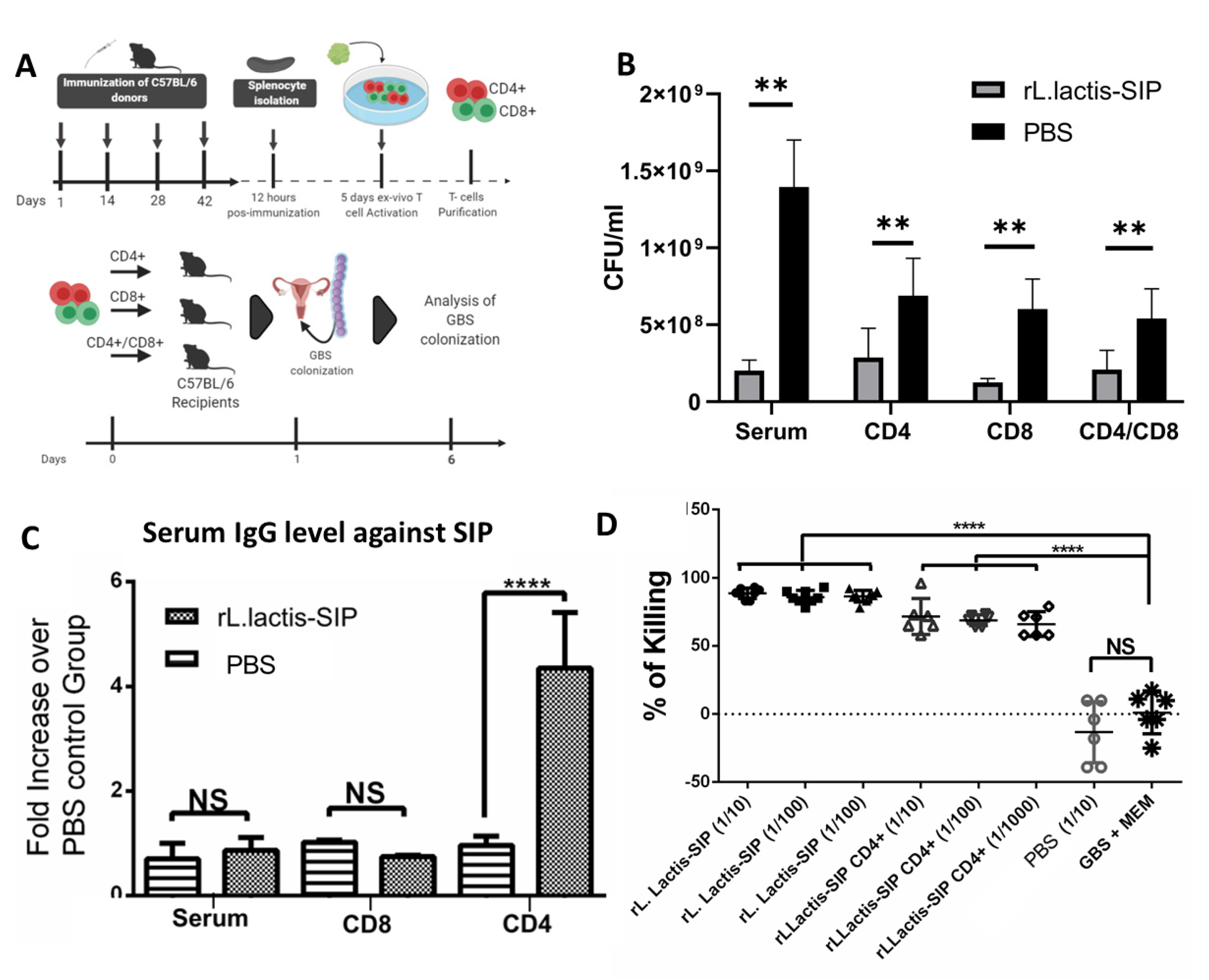 Vaccines 08 00146 g005 Vaccines 08 00146 g005