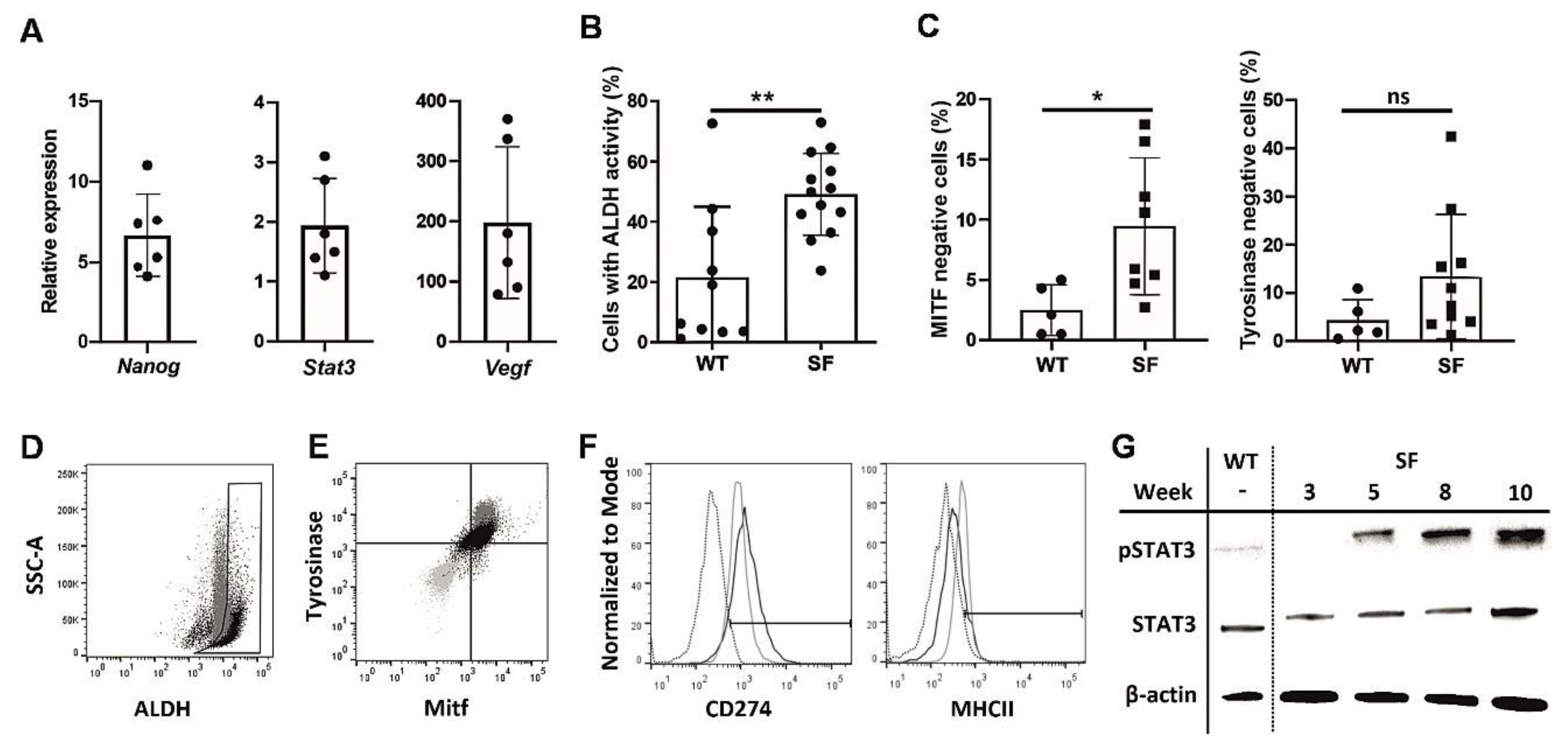 Vaccines 08 00147 g001