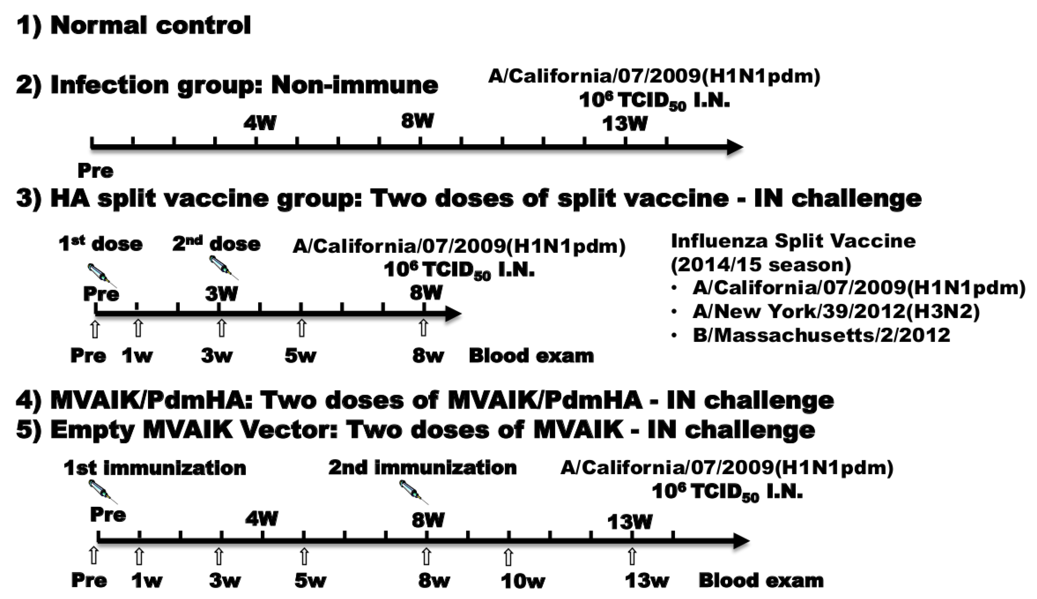 Vaccines 08 00149 g001 Vaccines 08 00149 g001