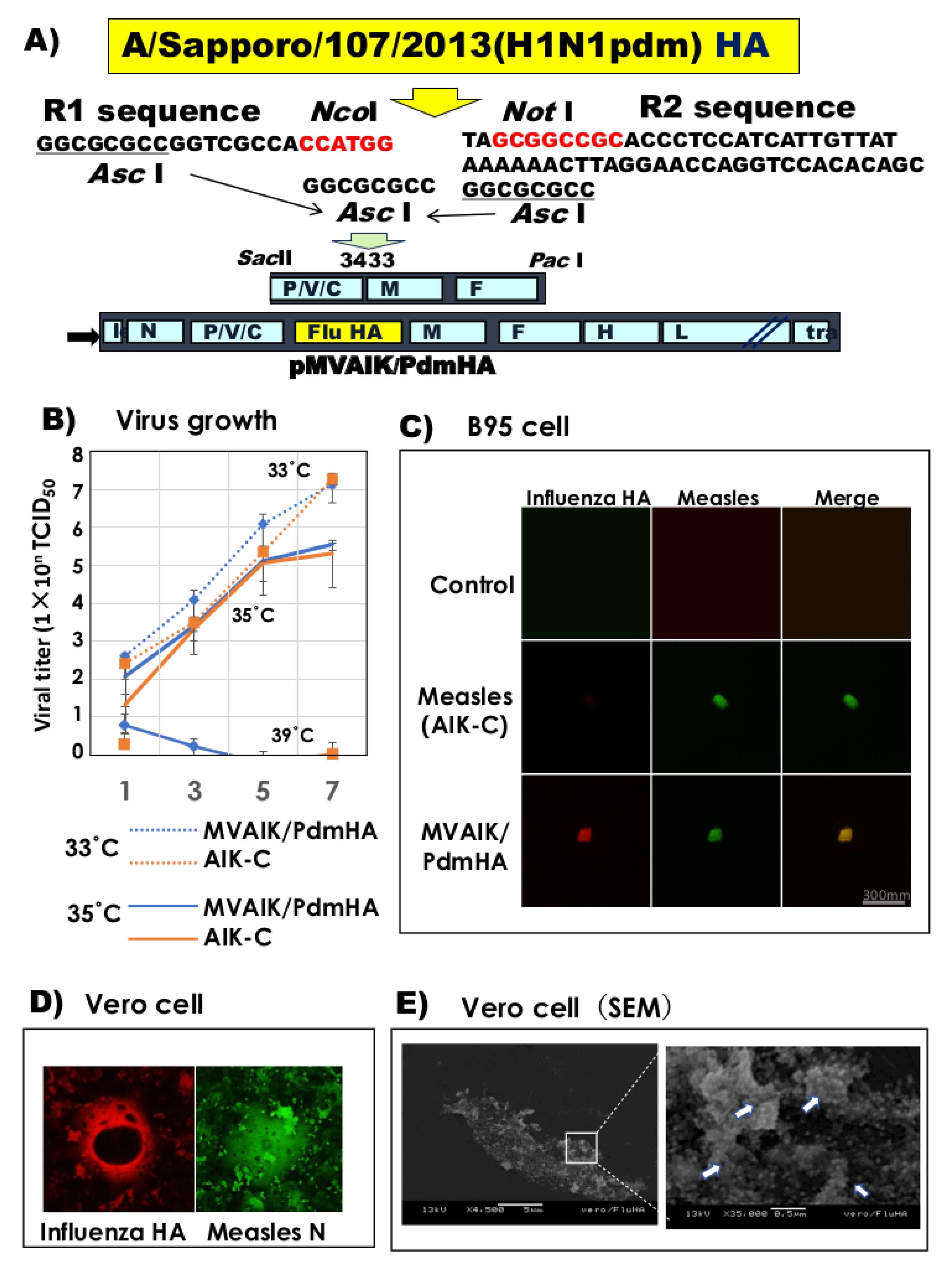 Vaccines 08 00149 g002 Vaccines 08 00149 g002