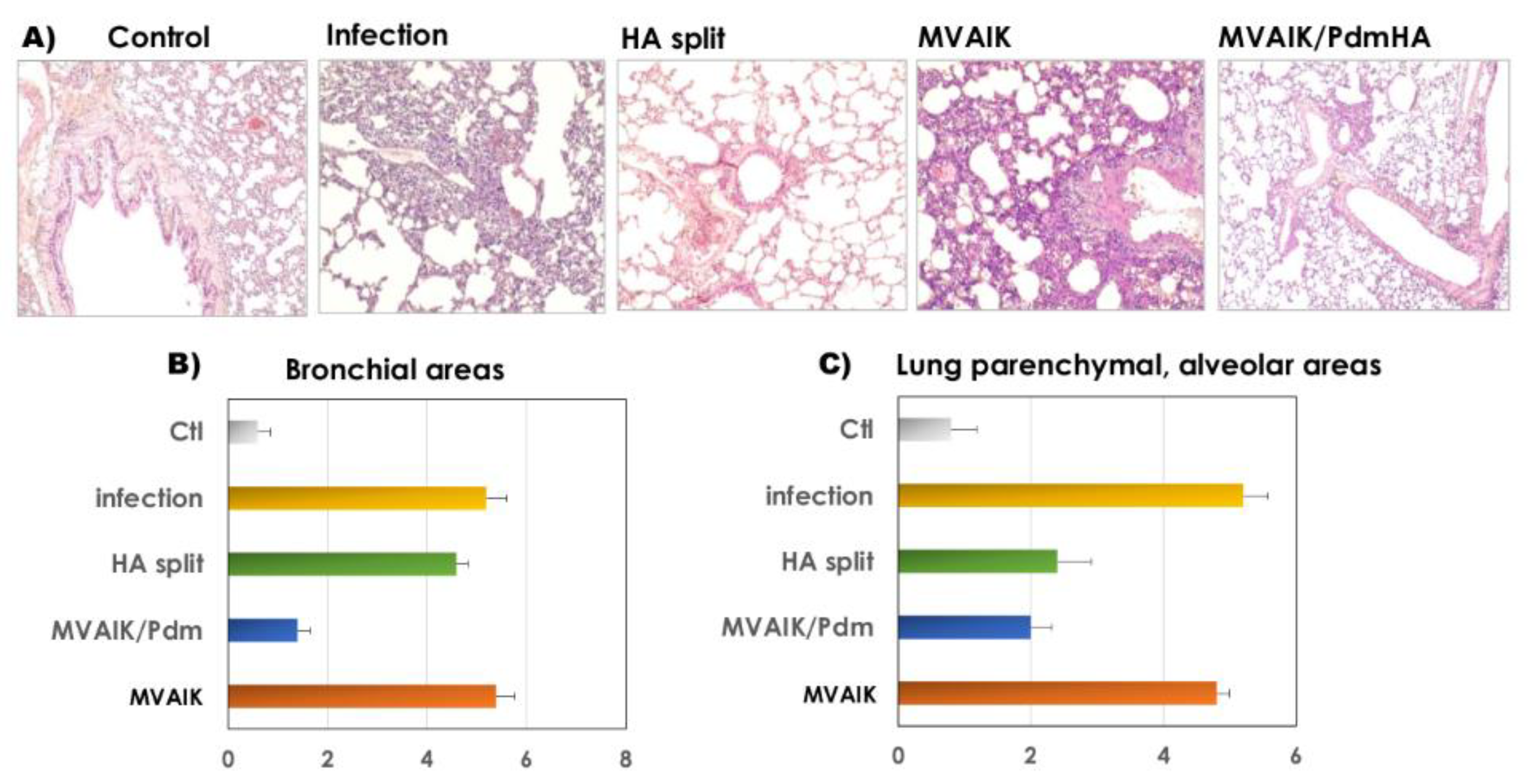 Vaccines 08 00149 g004 Vaccines 08 00149 g004