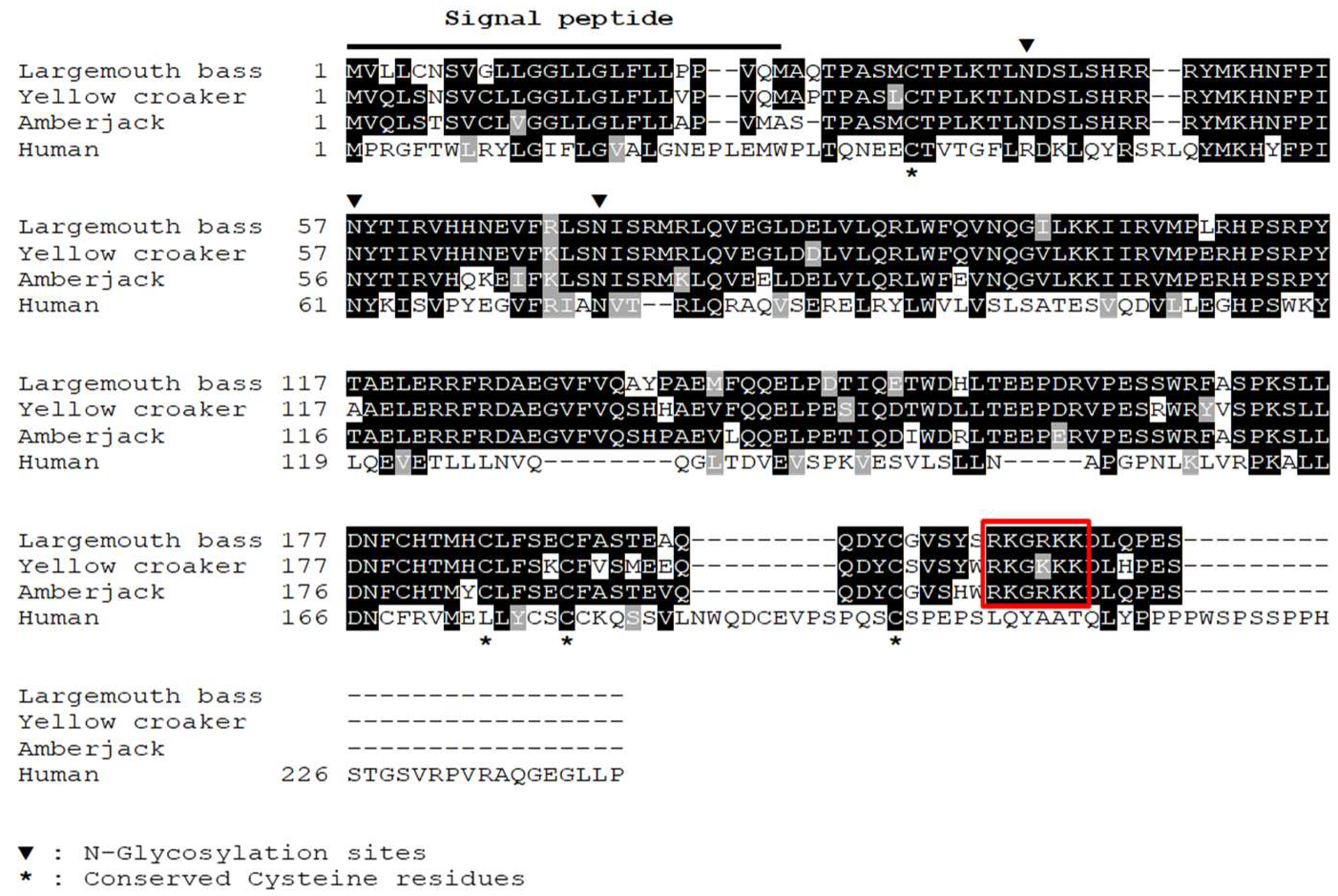 Vaccines 08 00151 g001