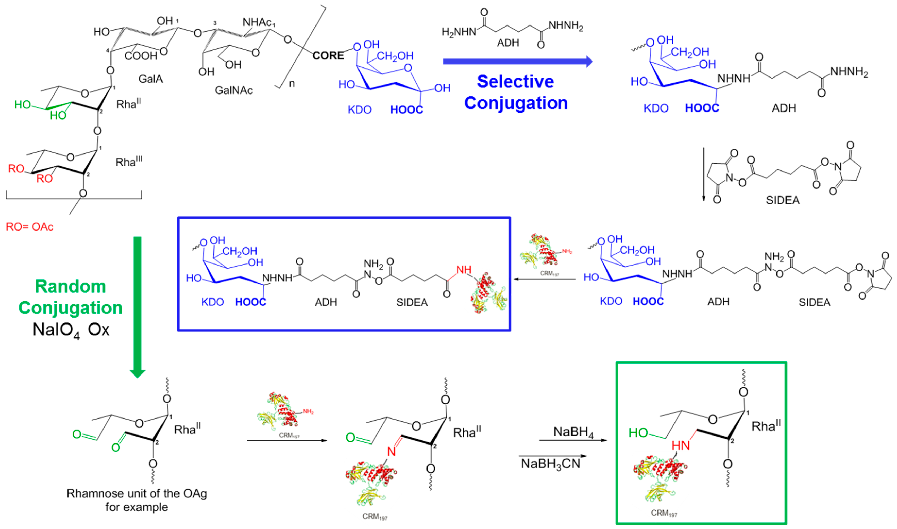 Vaccines 08 00160 g003 Vaccines 08 00160 g003
