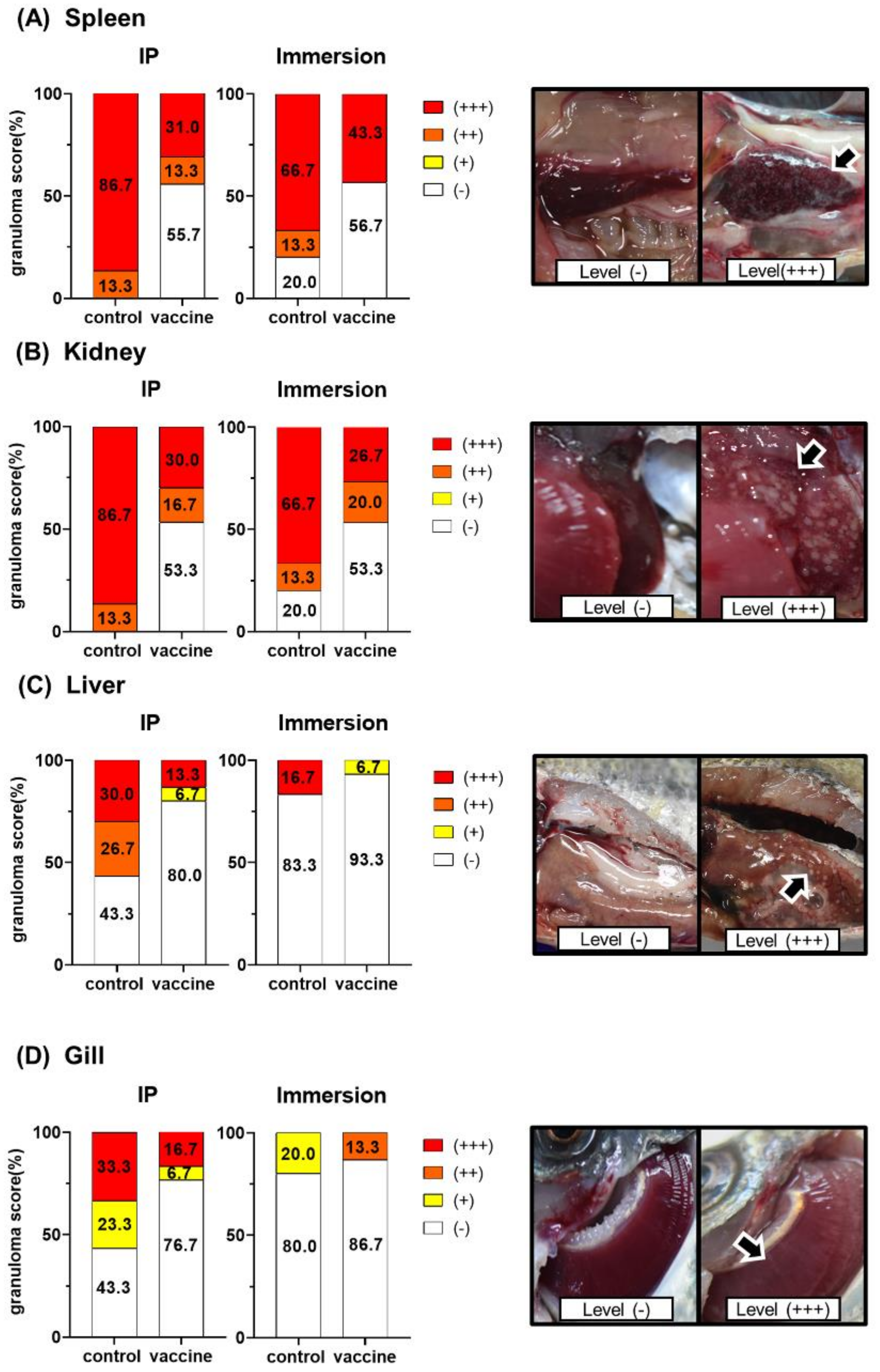 Vaccines 08 00163 g005 Vaccines 08 00163 g005