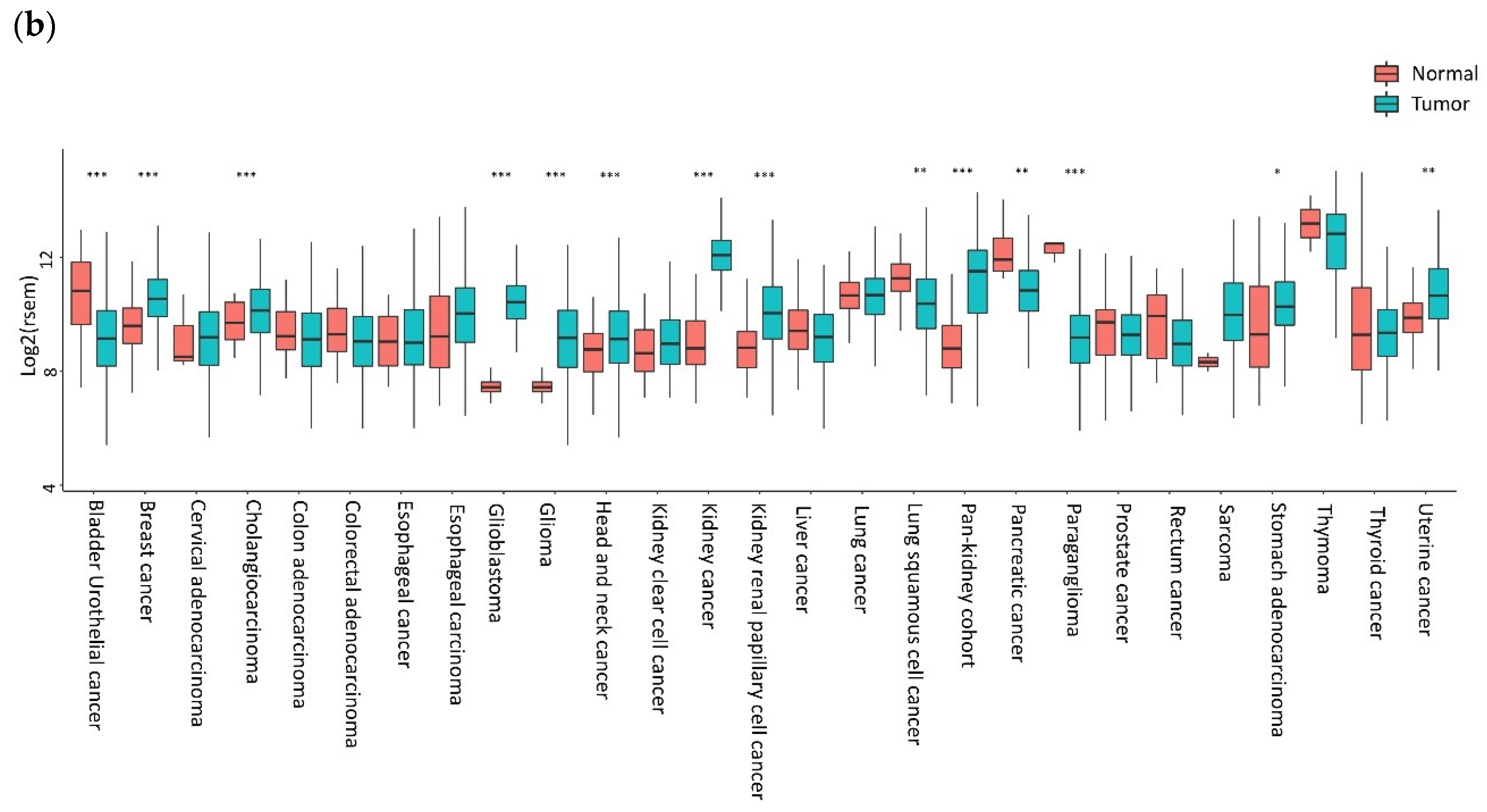 Vaccines 08 00164 g001b Vaccines 08 00164 g001b