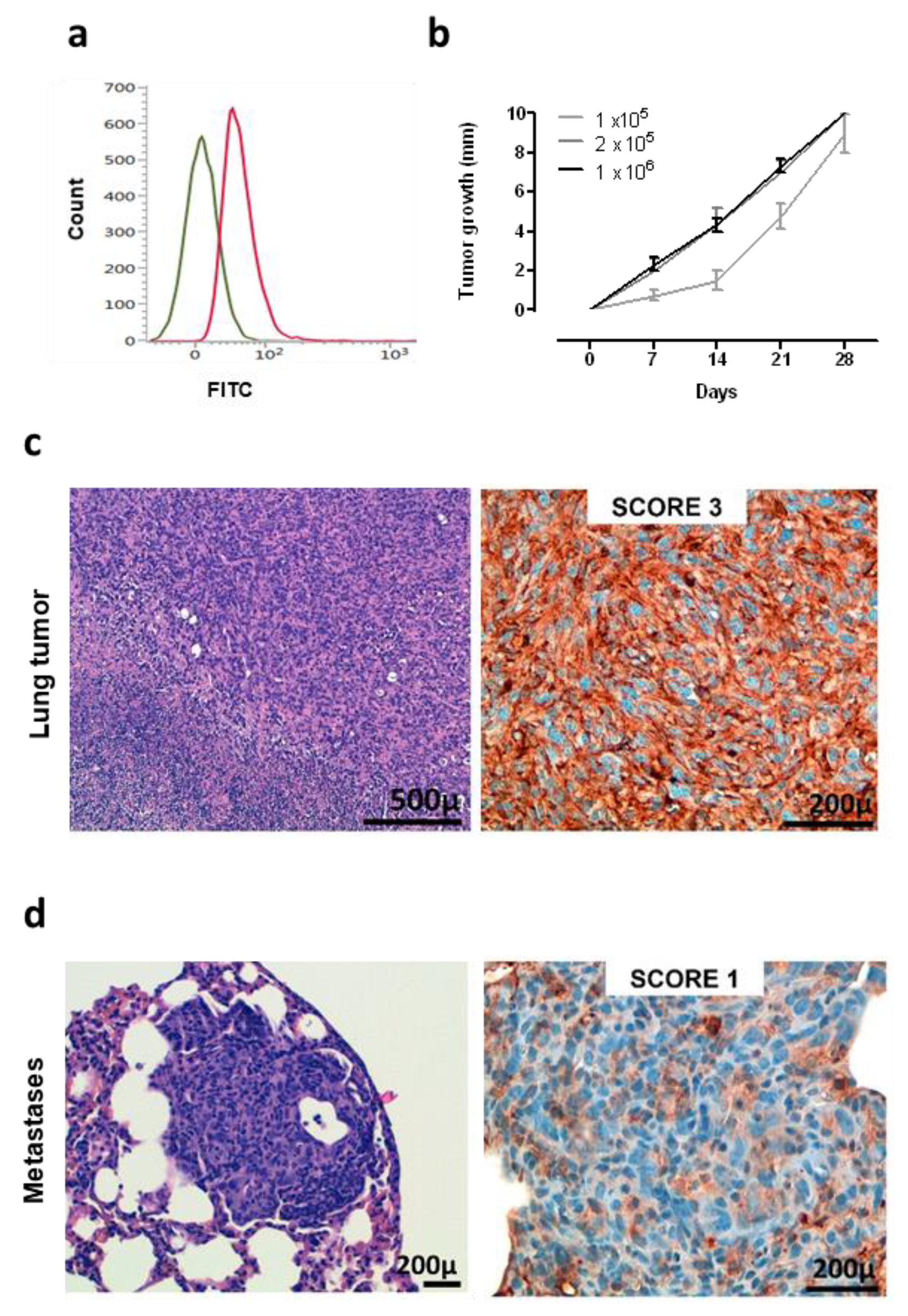 Vaccines 08 00166 g003 Vaccines 08 00166 g003