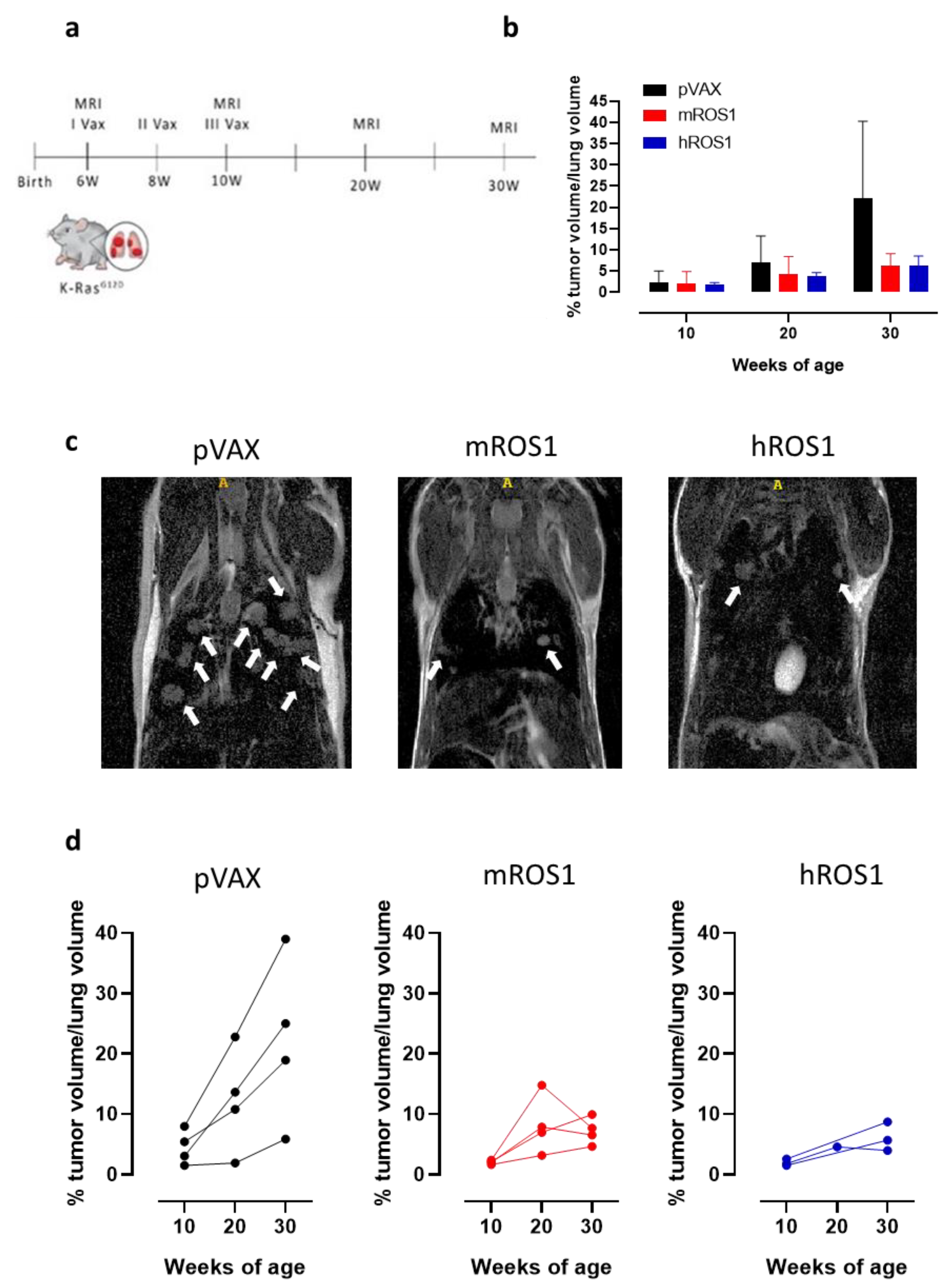 Vaccines 08 00166 g007 Vaccines 08 00166 g007