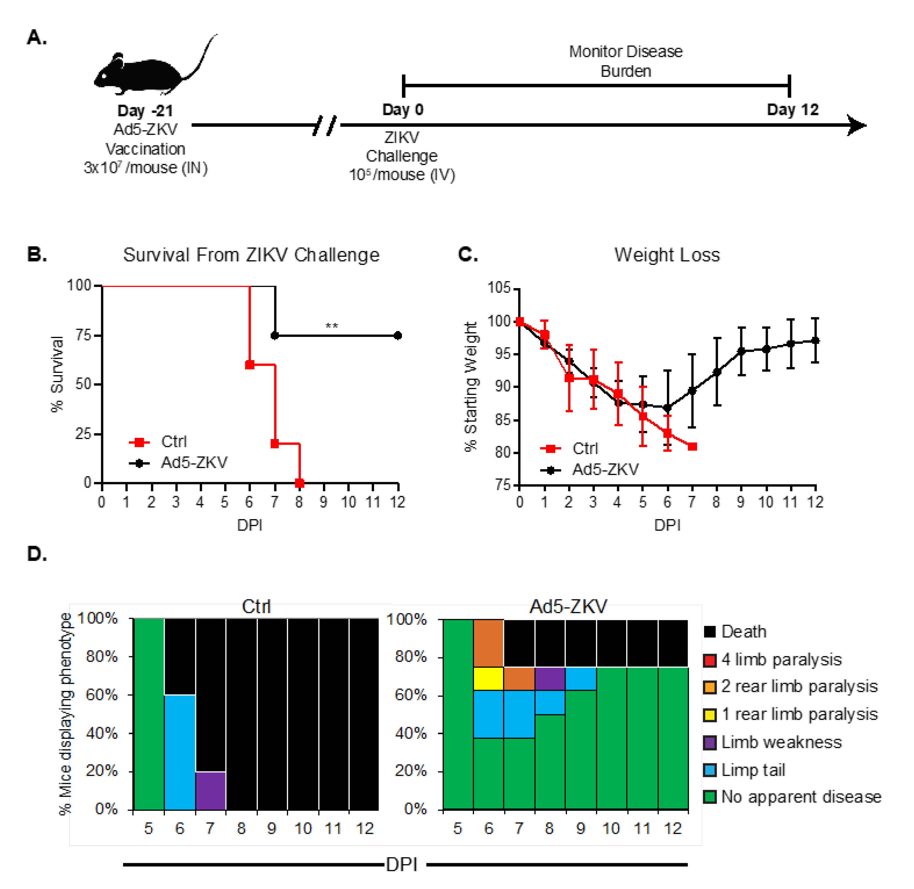 Vaccines 08 00170 g004