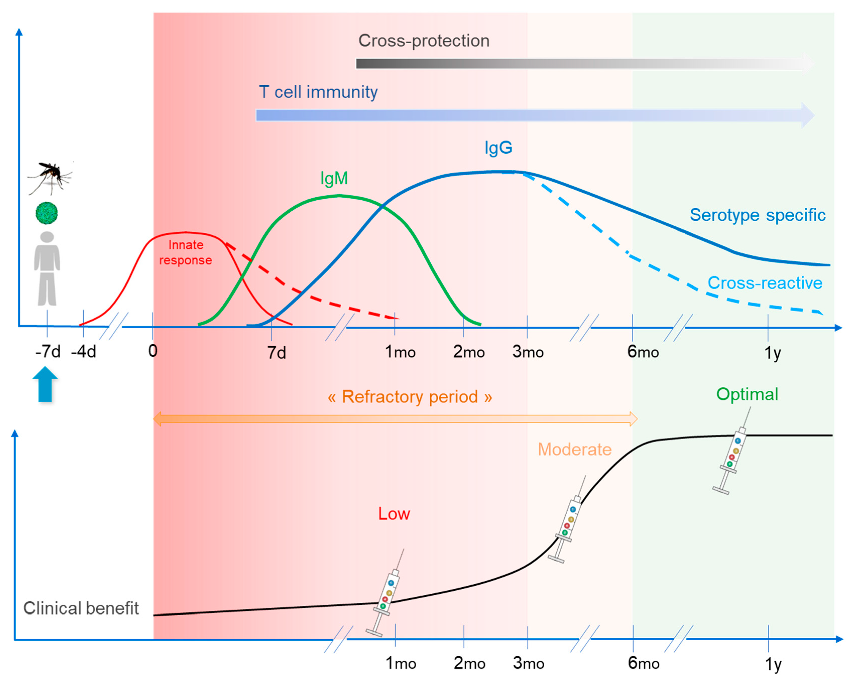 Vaccines 08 00174 g003