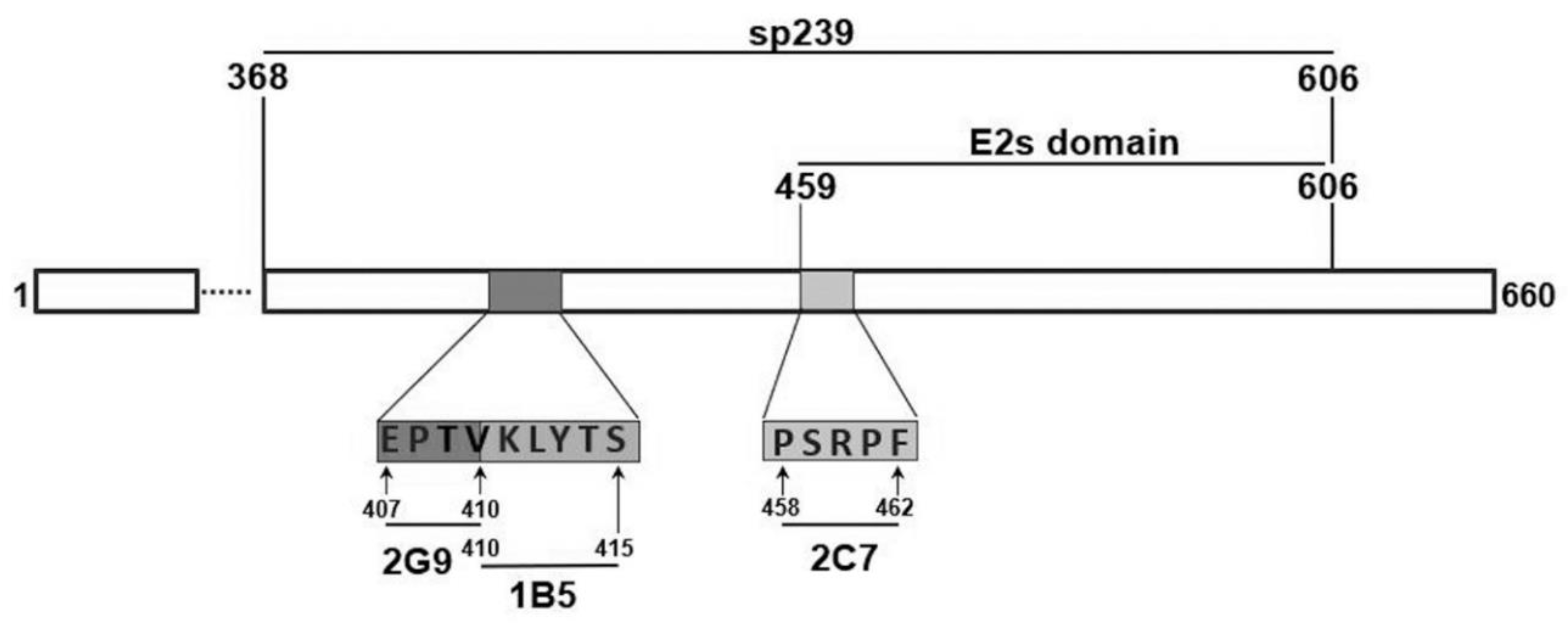 Vaccines 08 00178 g001 Vaccines 08 00178 g001