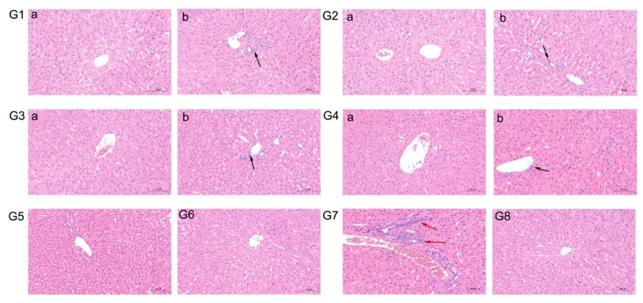 Vaccines 08 00178 g006 Vaccines 08 00178 g006