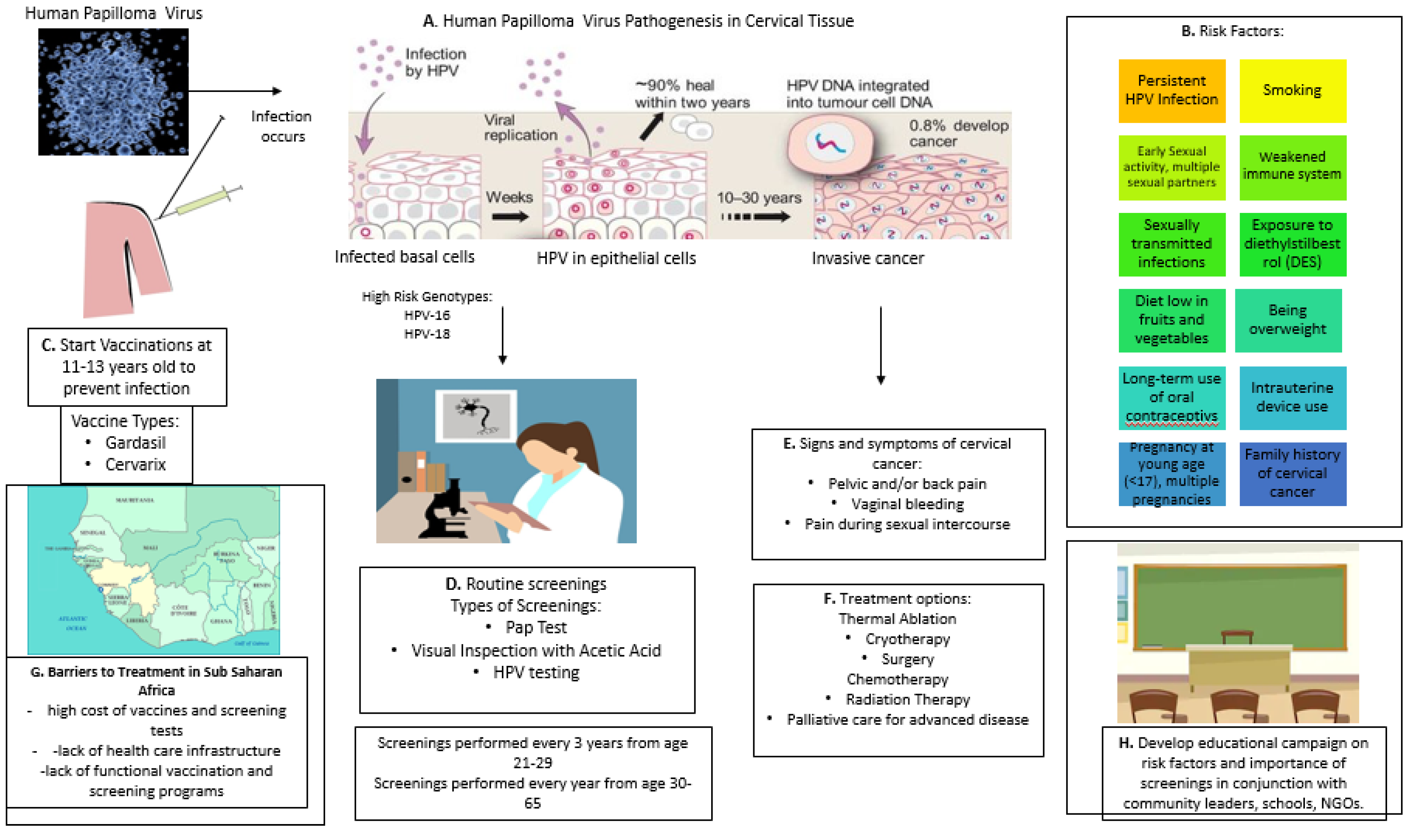 Gardasil hpv dna, Papiloma cancer de cuello