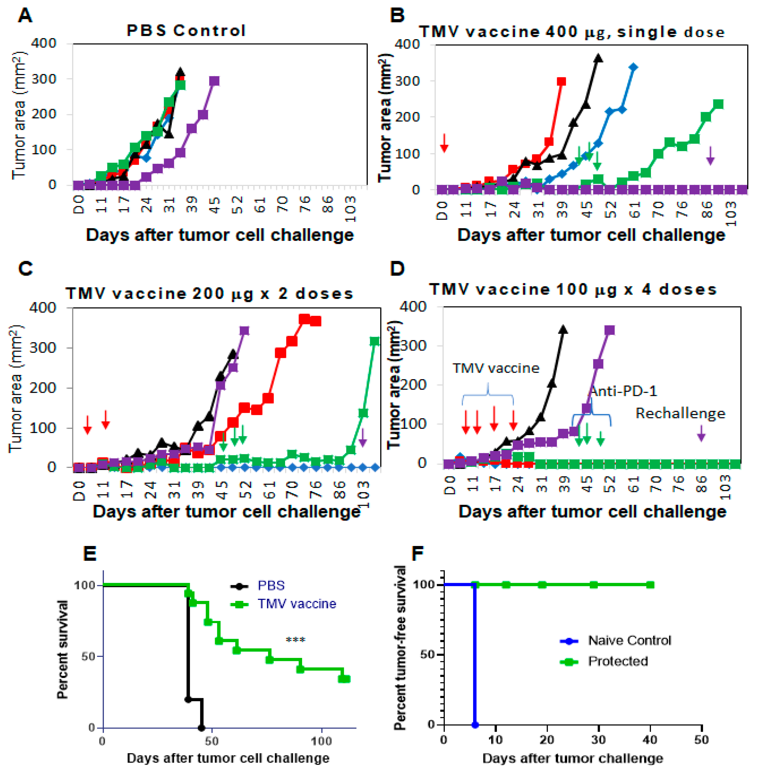 Vaccines 08 00182 g002