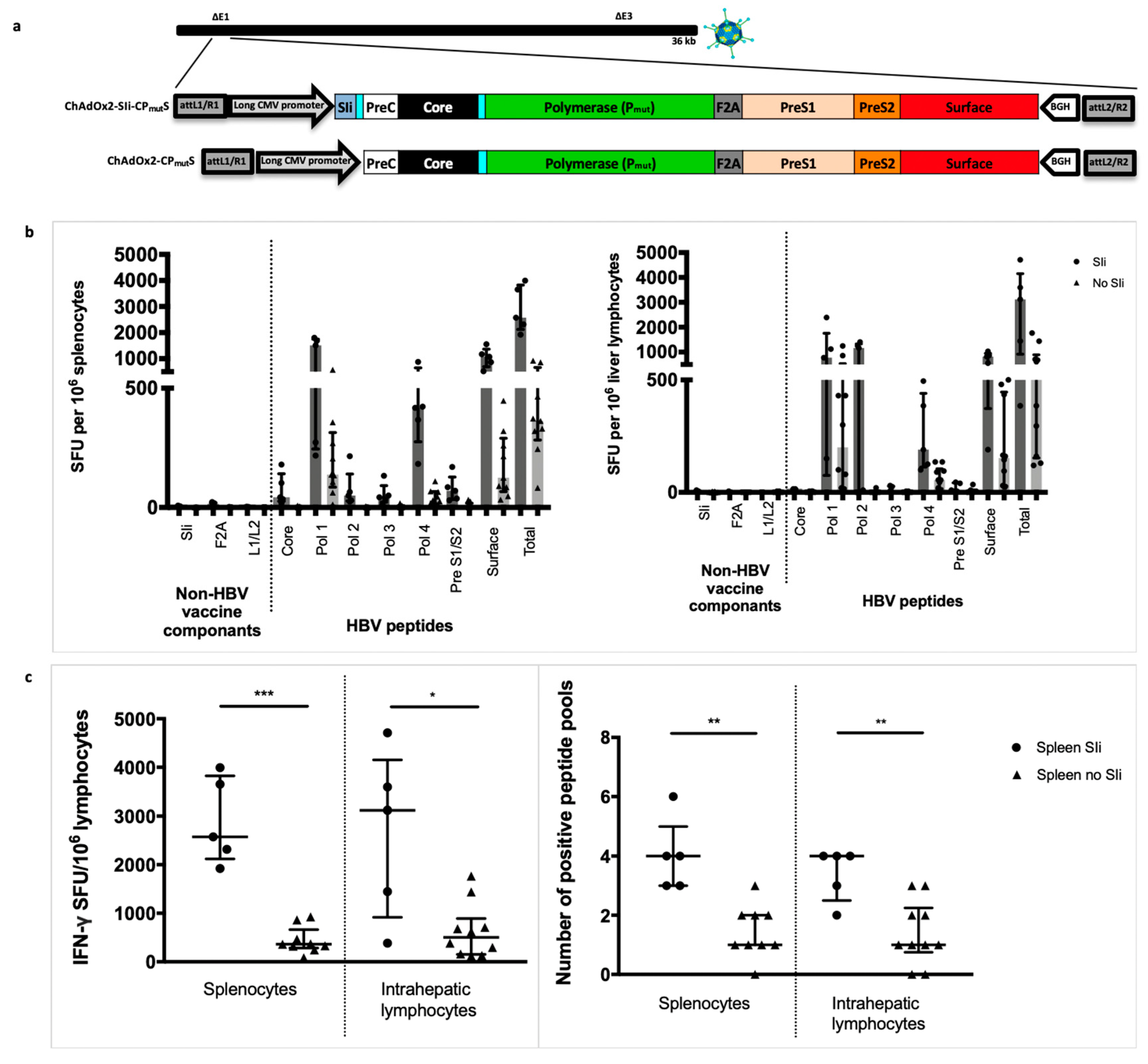 Vaccines 08 00184 g003 Vaccines 08 00184 g003