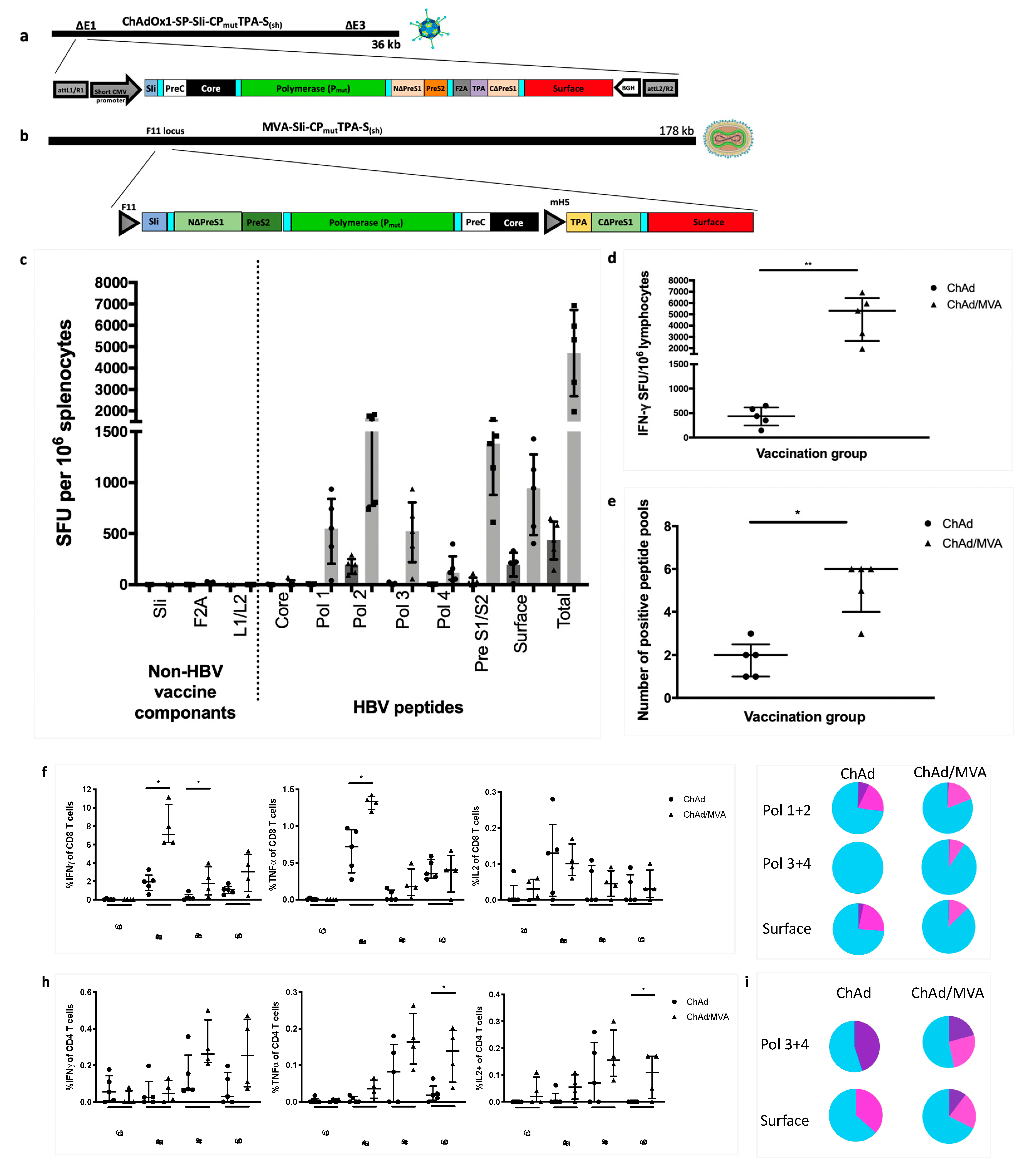 Vaccines 08 00184 g006 Vaccines 08 00184 g006