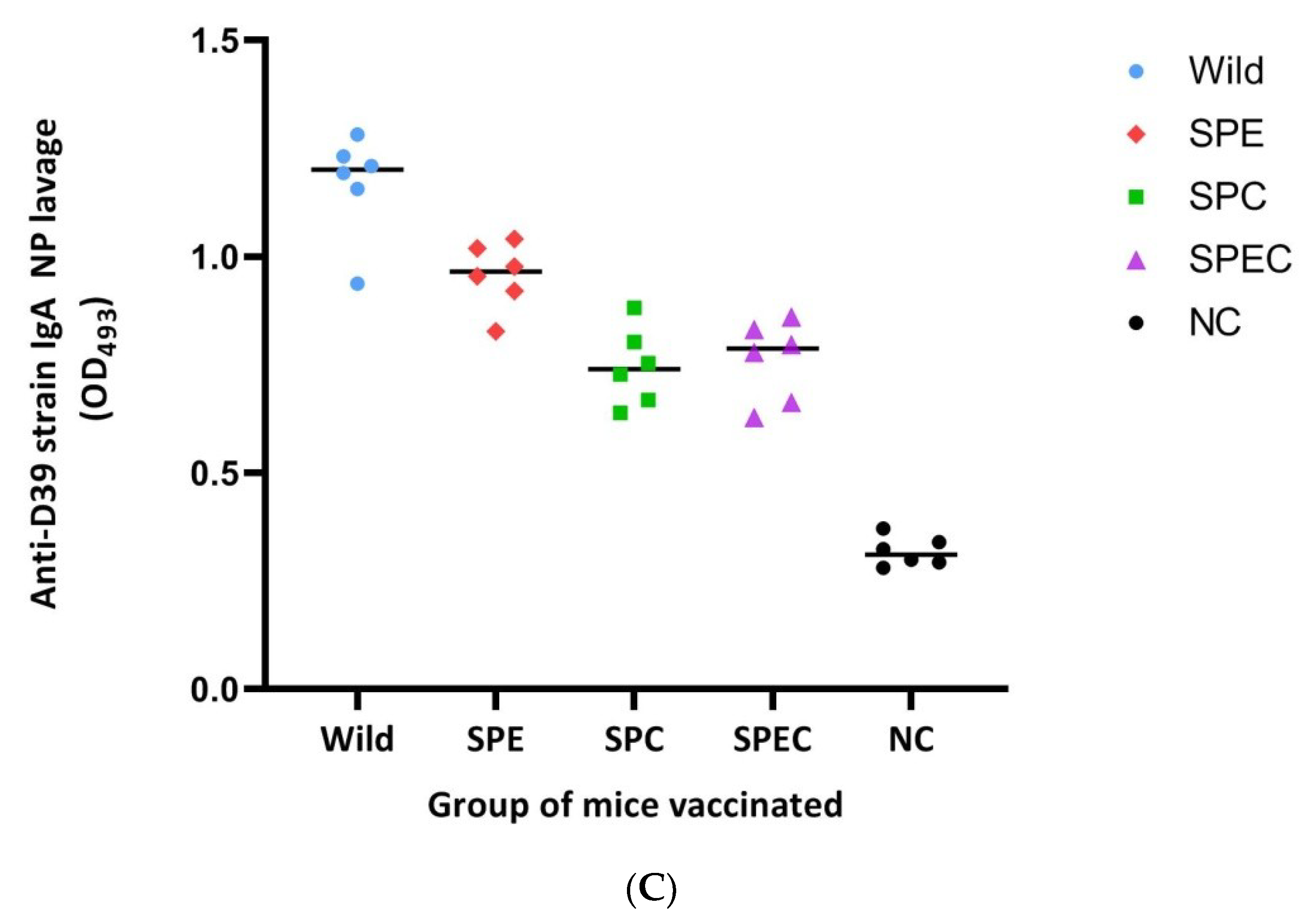 Vaccines 08 00187 g005b Vaccines 08 00187 g005b