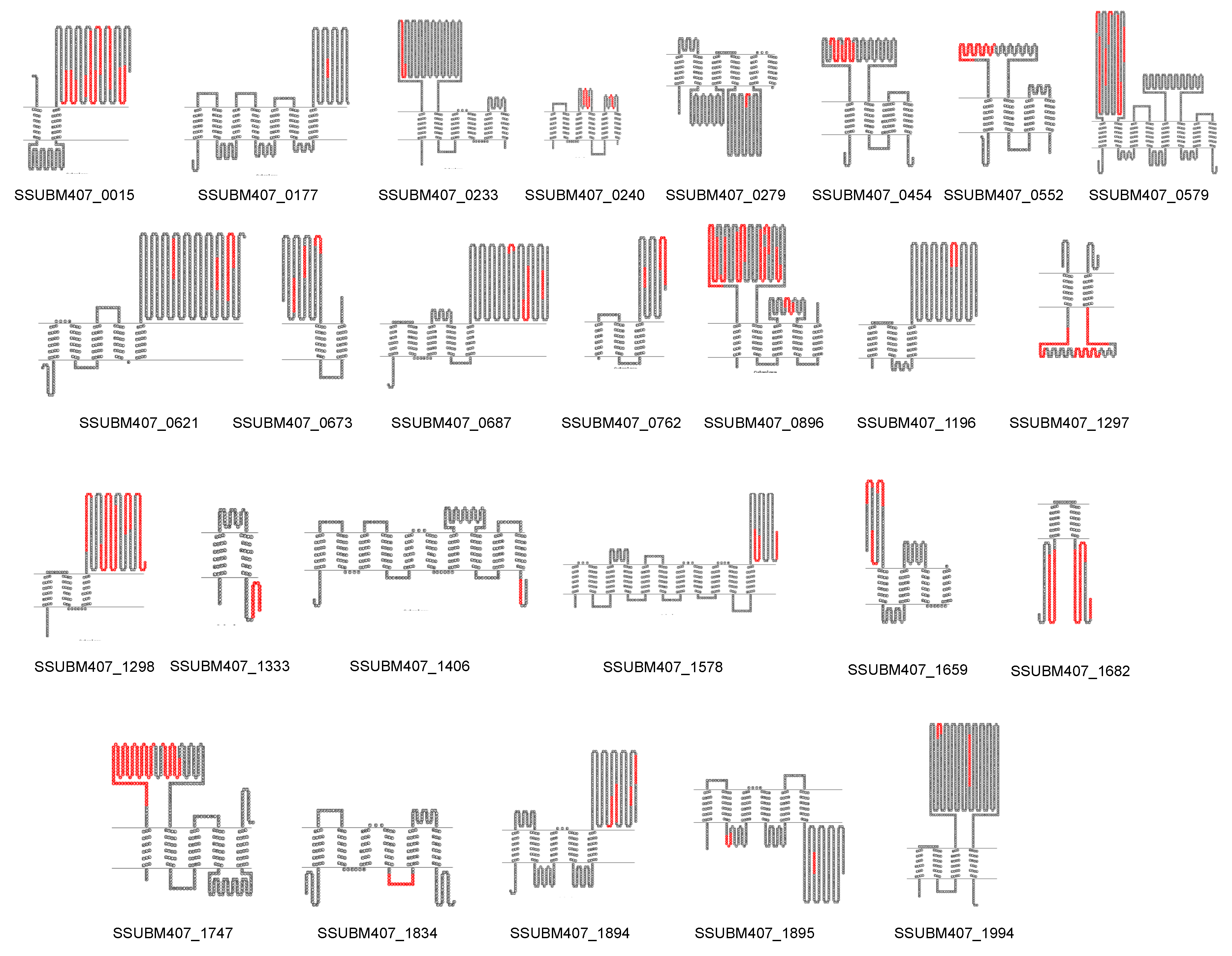 Vaccines 08 00188 g004