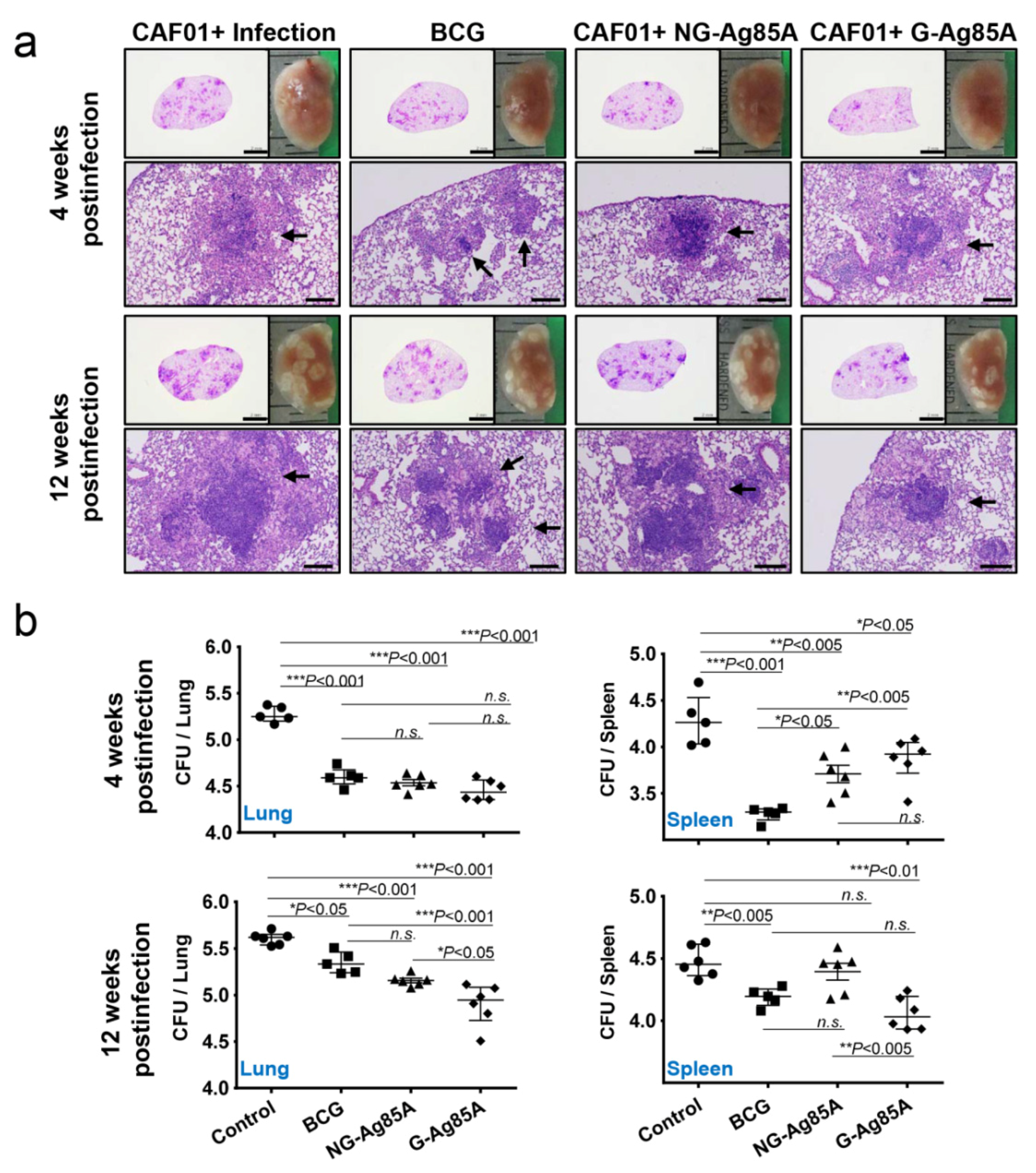Vaccines 08 00189 g005 Vaccines 08 00189 g005