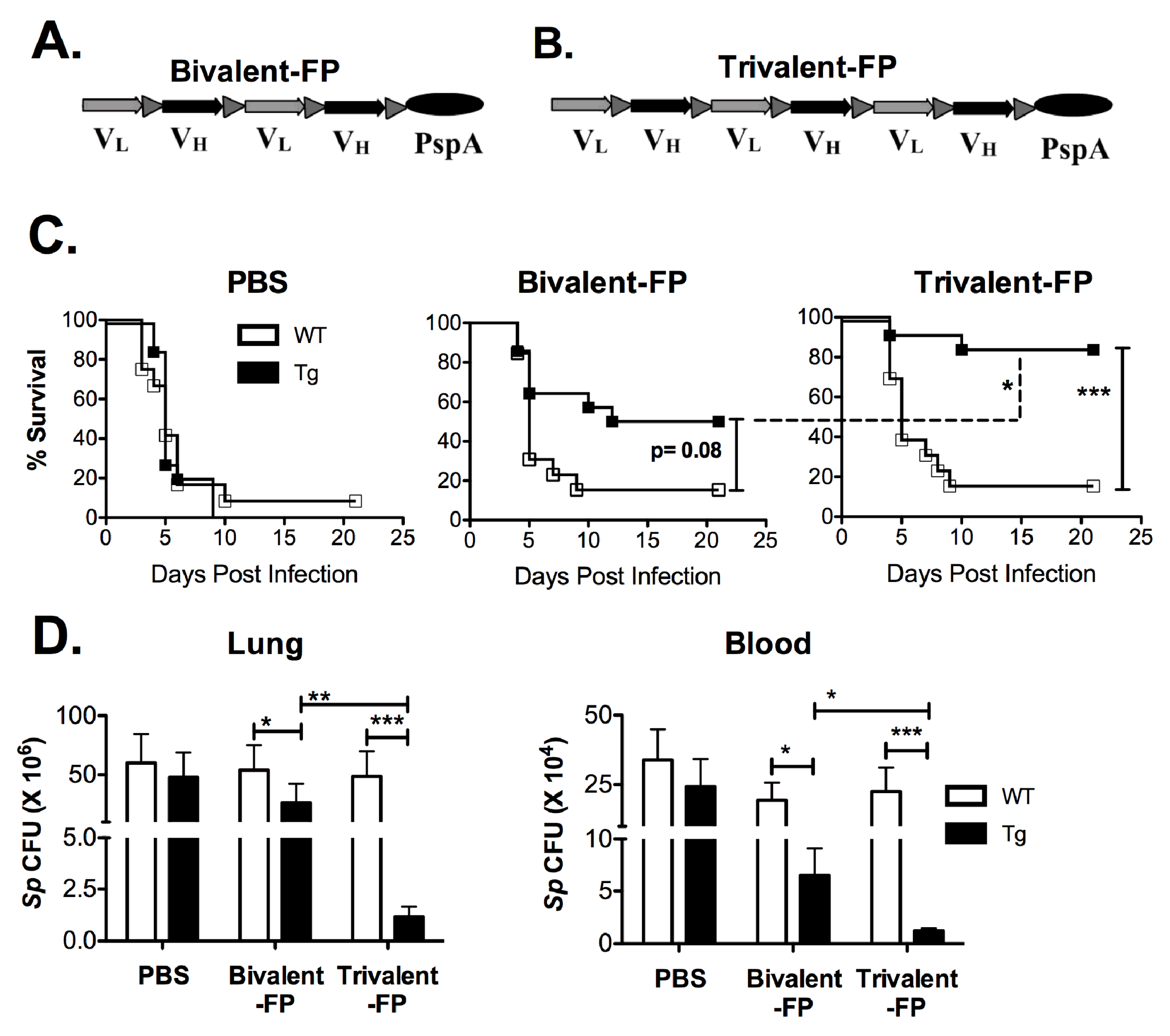 Vaccines 08 00193 g001 Vaccines 08 00193 g001