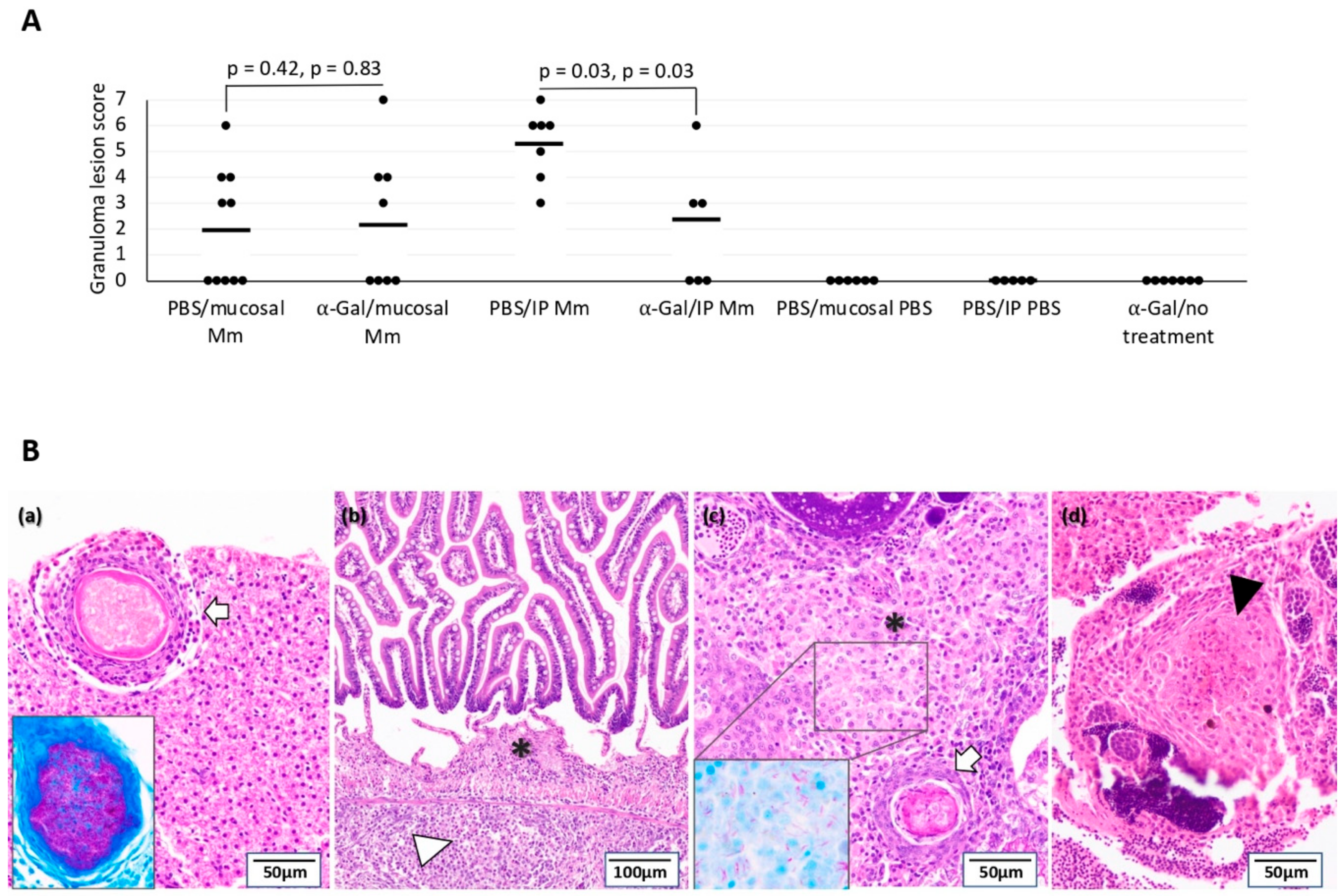 Vaccines 08 00195 g004 Vaccines 08 00195 g004