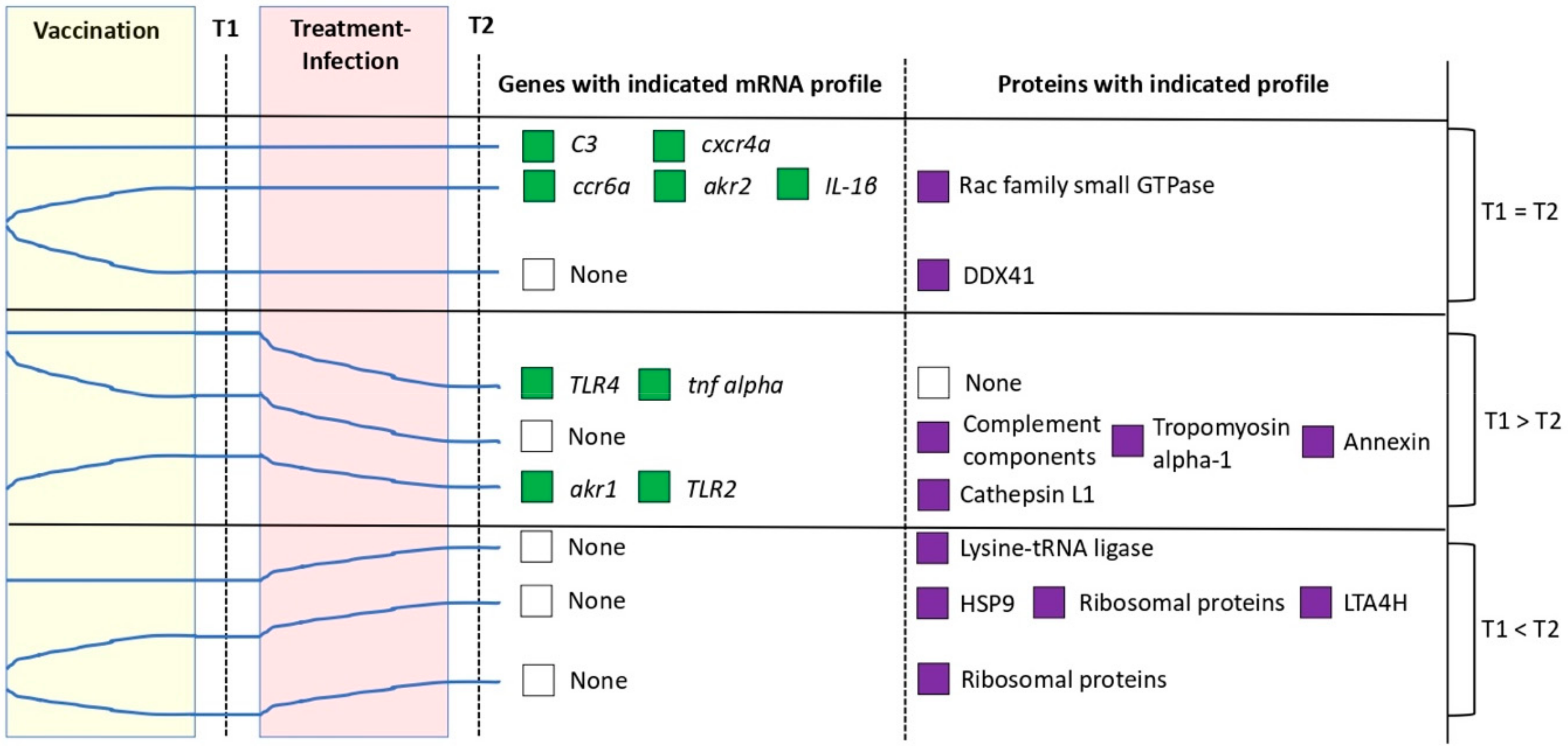 Vaccines 08 00195 g009 Vaccines 08 00195 g009