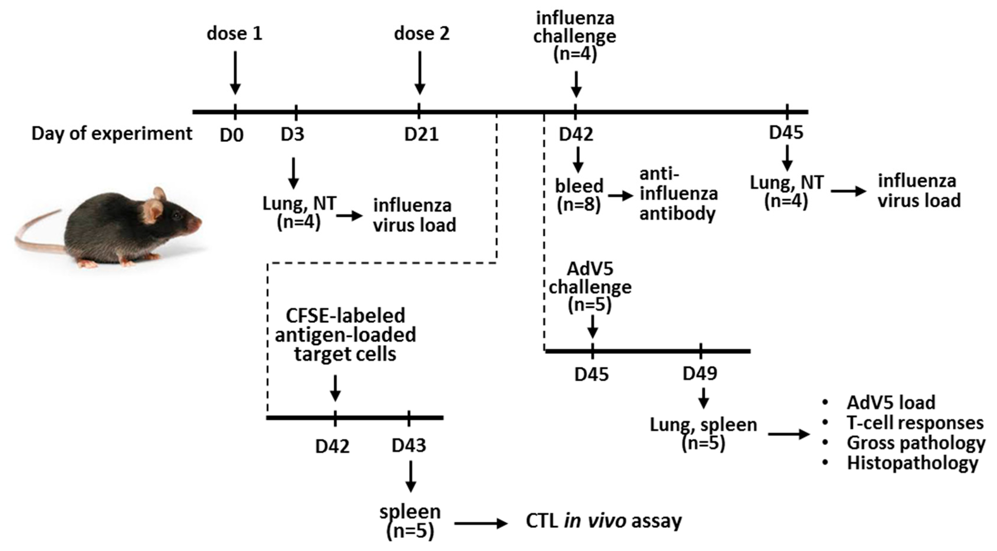 Vaccines 08 00196 g001 Vaccines 08 00196 g001