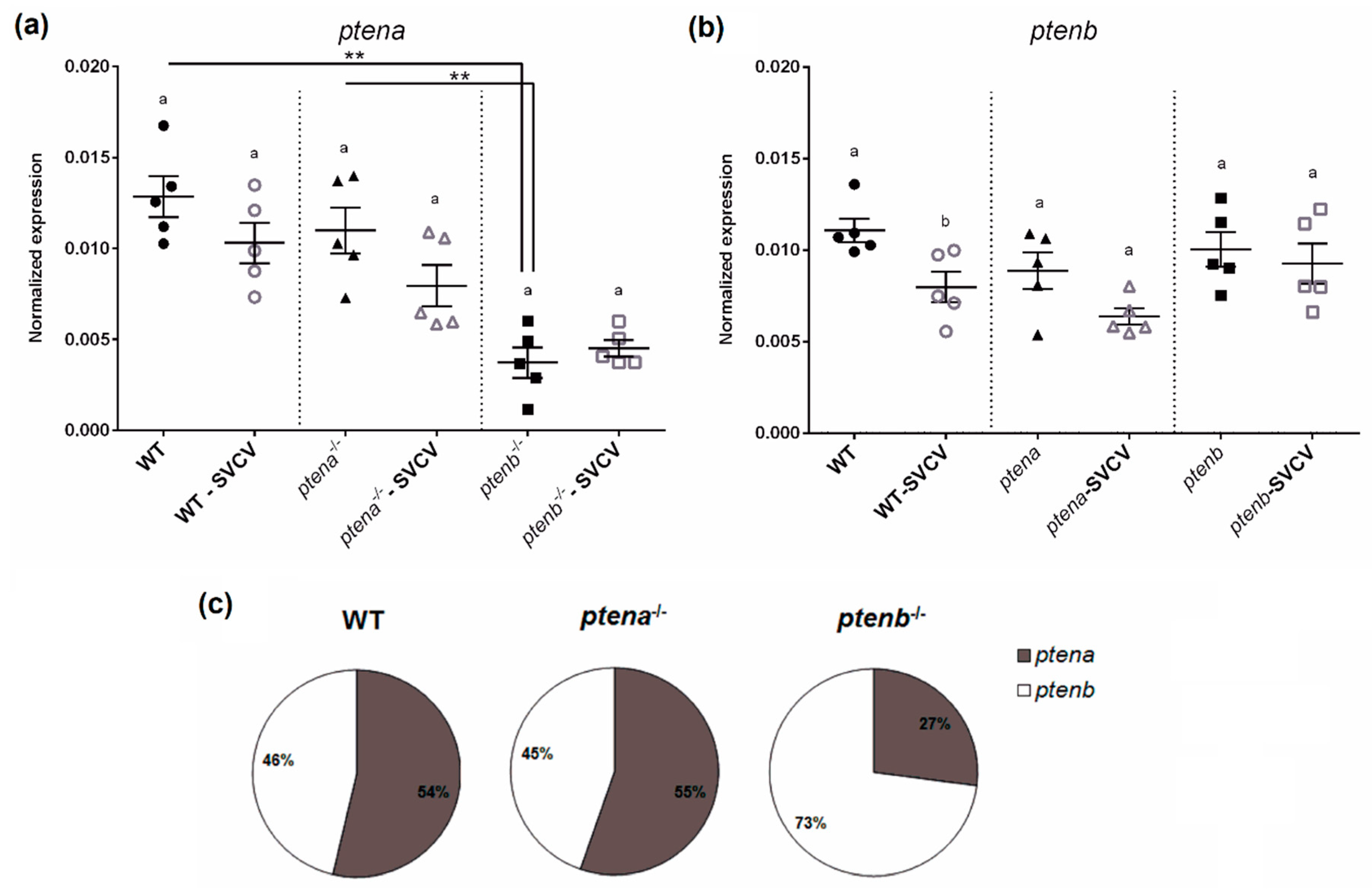Vaccines 08 00199 g001