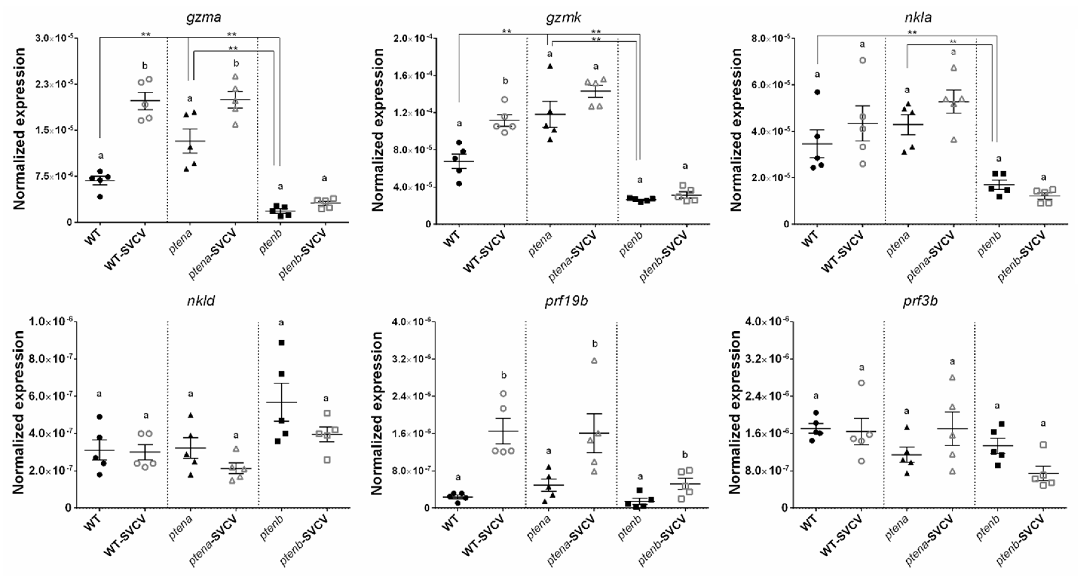 Vaccines 08 00199 g005