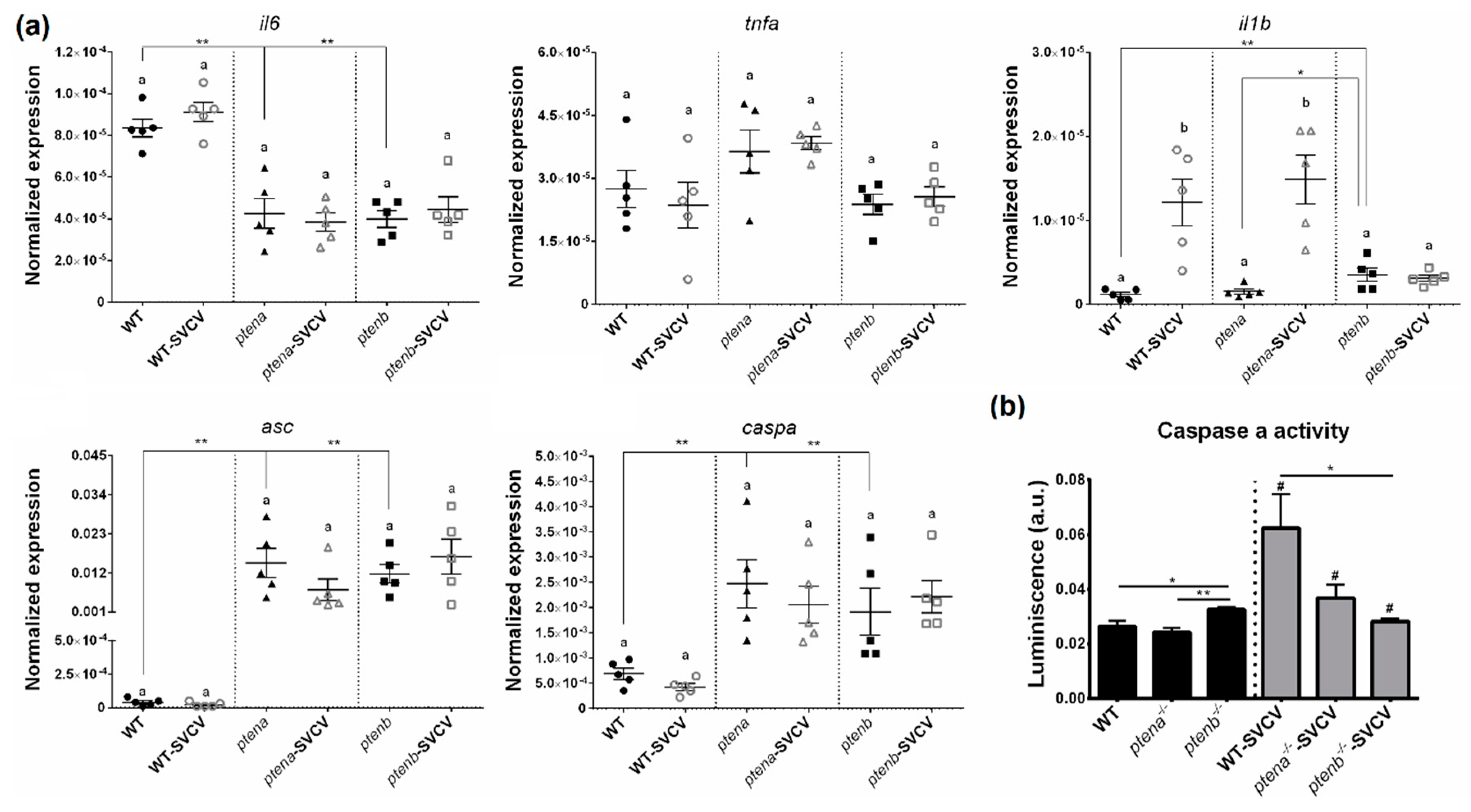 Vaccines 08 00199 g007