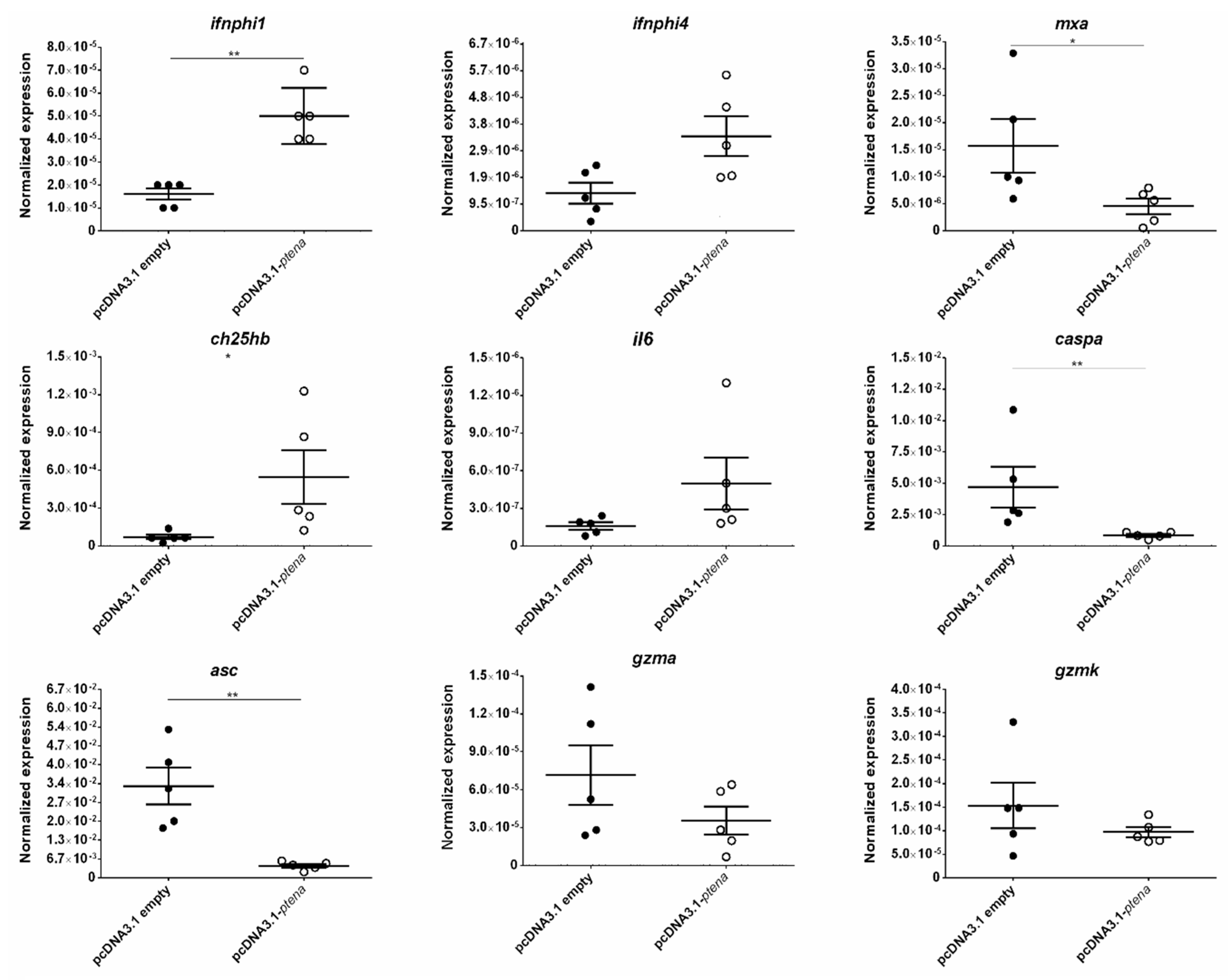 Vaccines 08 00199 g009