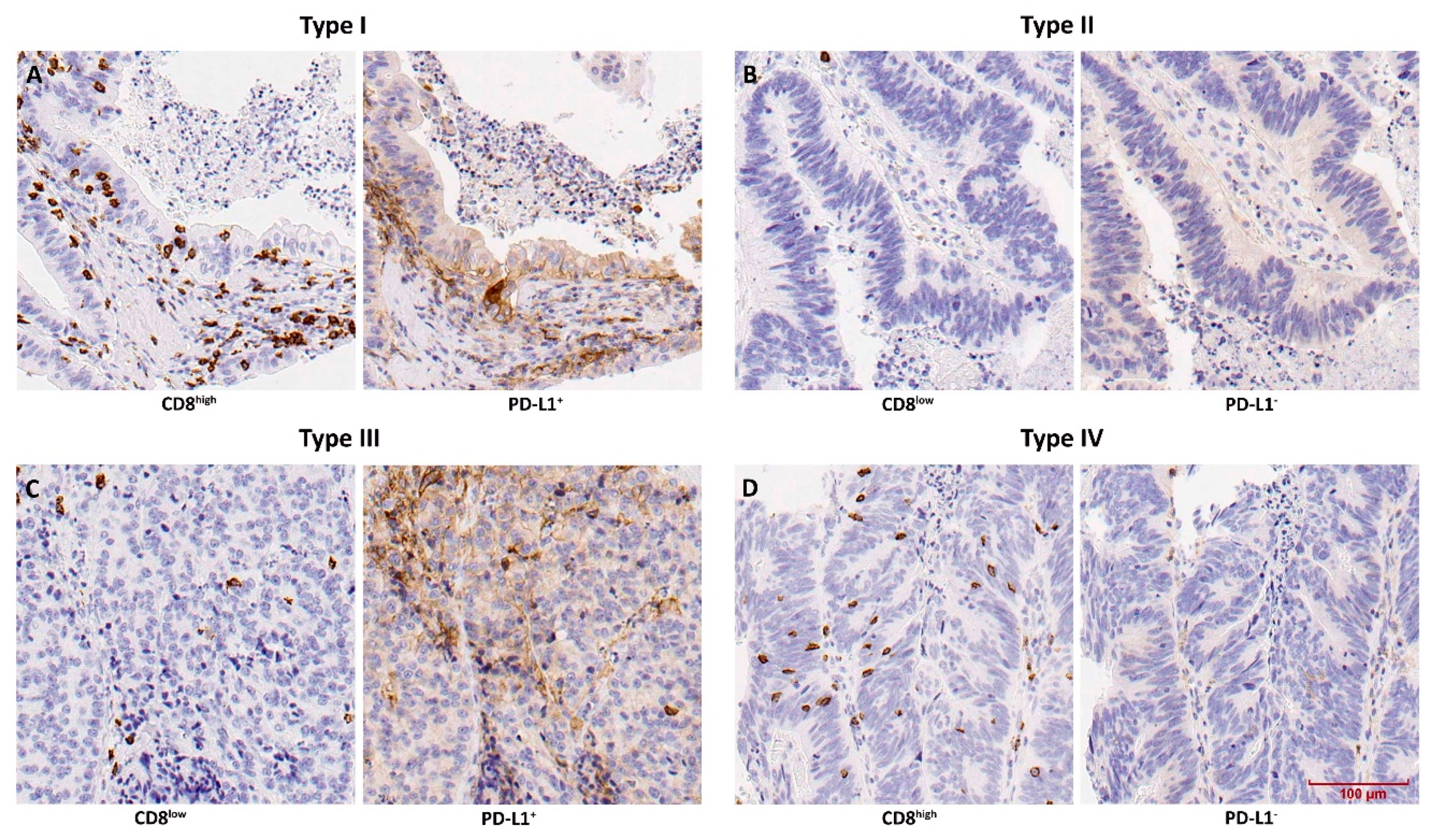 Vaccines 08 00202 g002 Vaccines 08 00202 g002