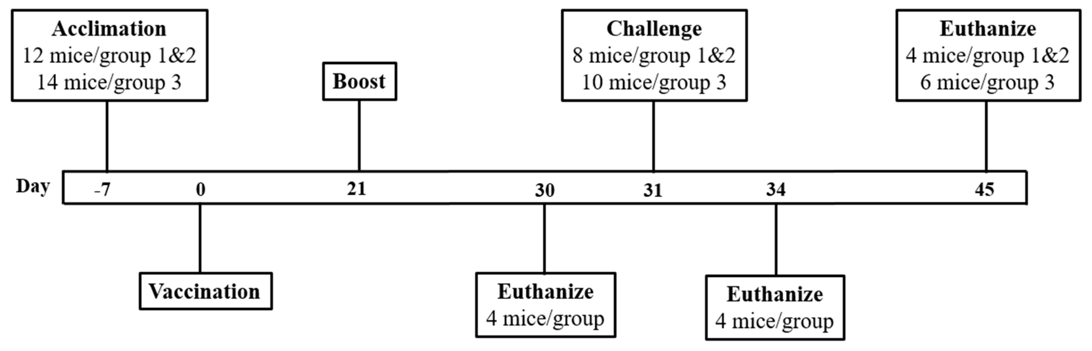 Vaccines 08 00207 g004 Vaccines 08 00207 g004