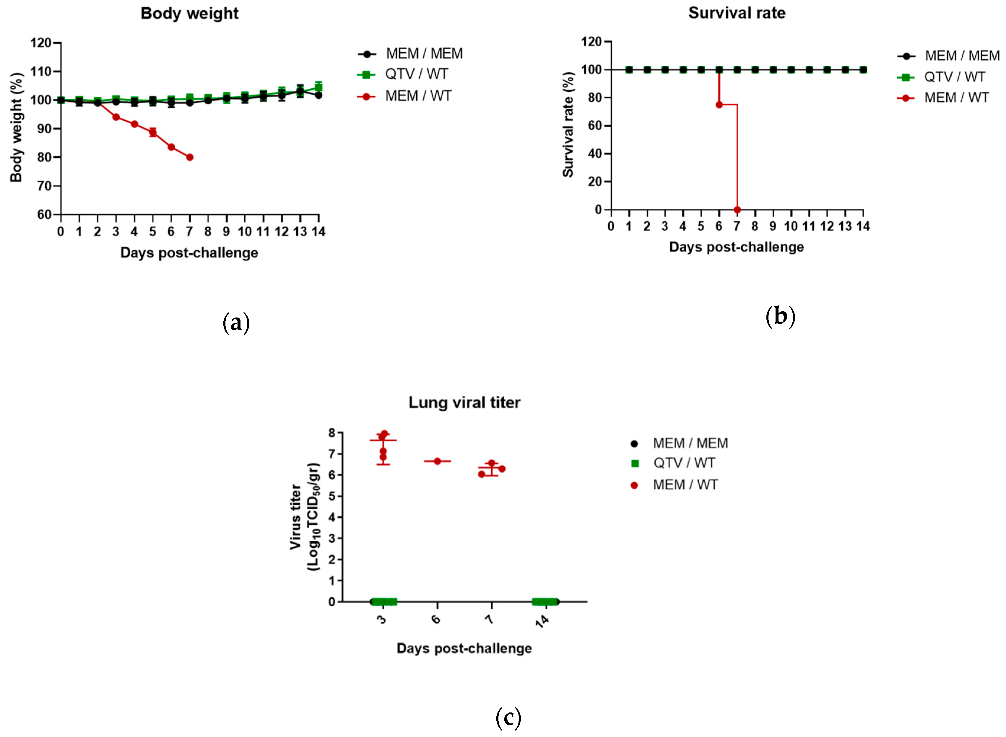 Vaccines 08 00207 g007 Vaccines 08 00207 g007