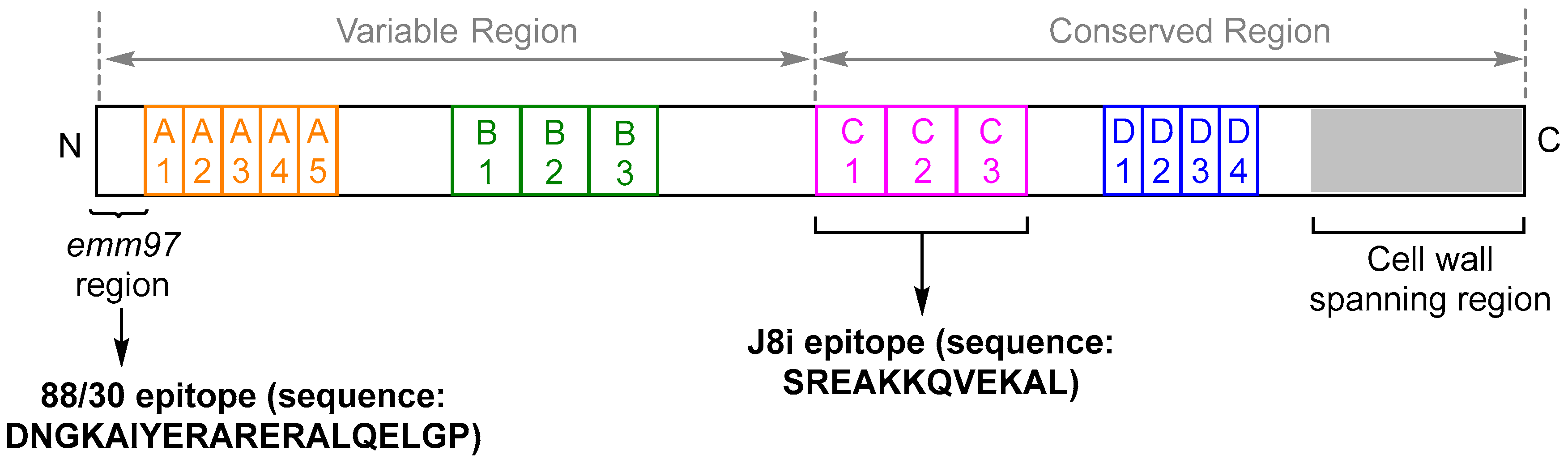 Vaccines 08 00210 g001