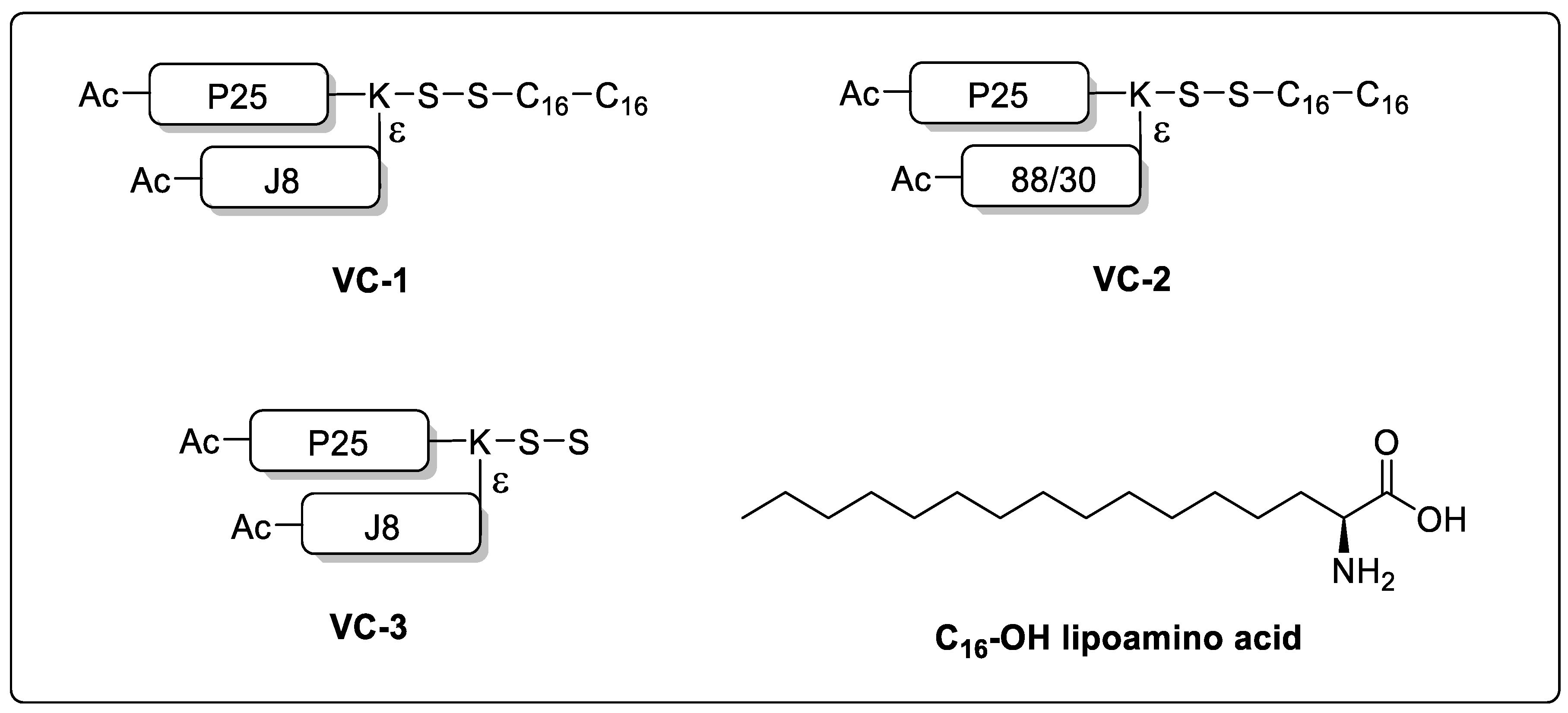 Vaccines 08 00210 g003