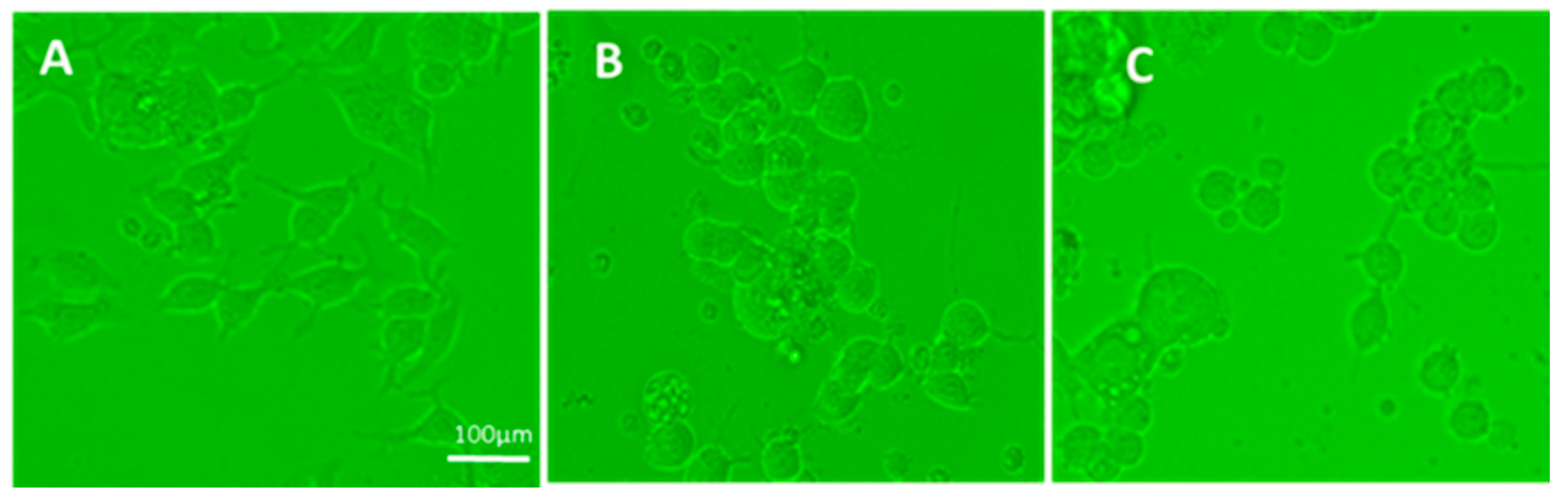 Vaccines 08 00232 g001