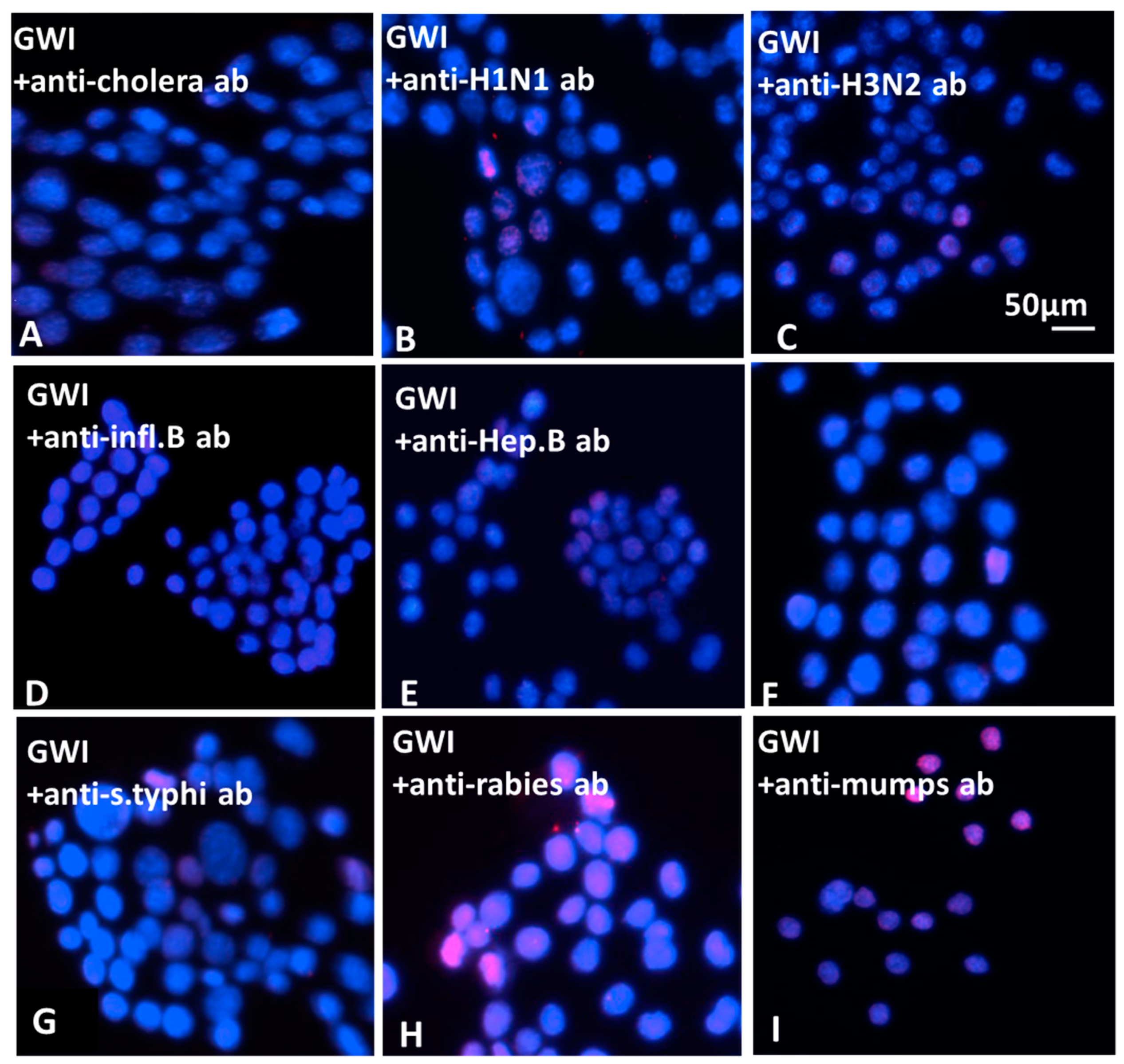 Vaccines 08 00232 g007