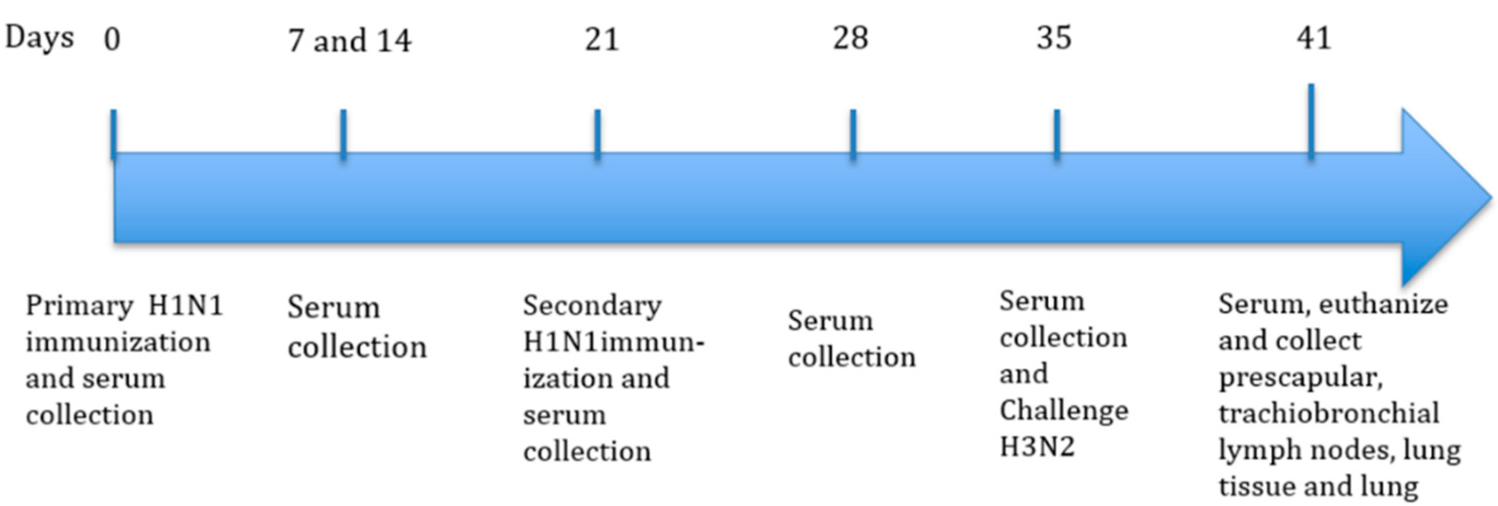 Vaccines 08 00235 g001