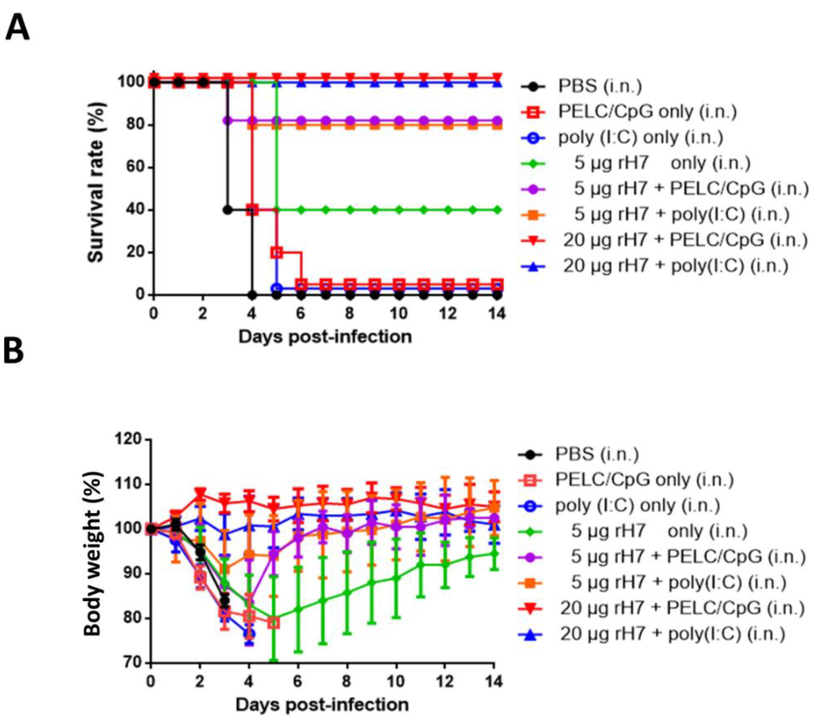 Vaccines 08 00240 g006 Vaccines 08 00240 g006