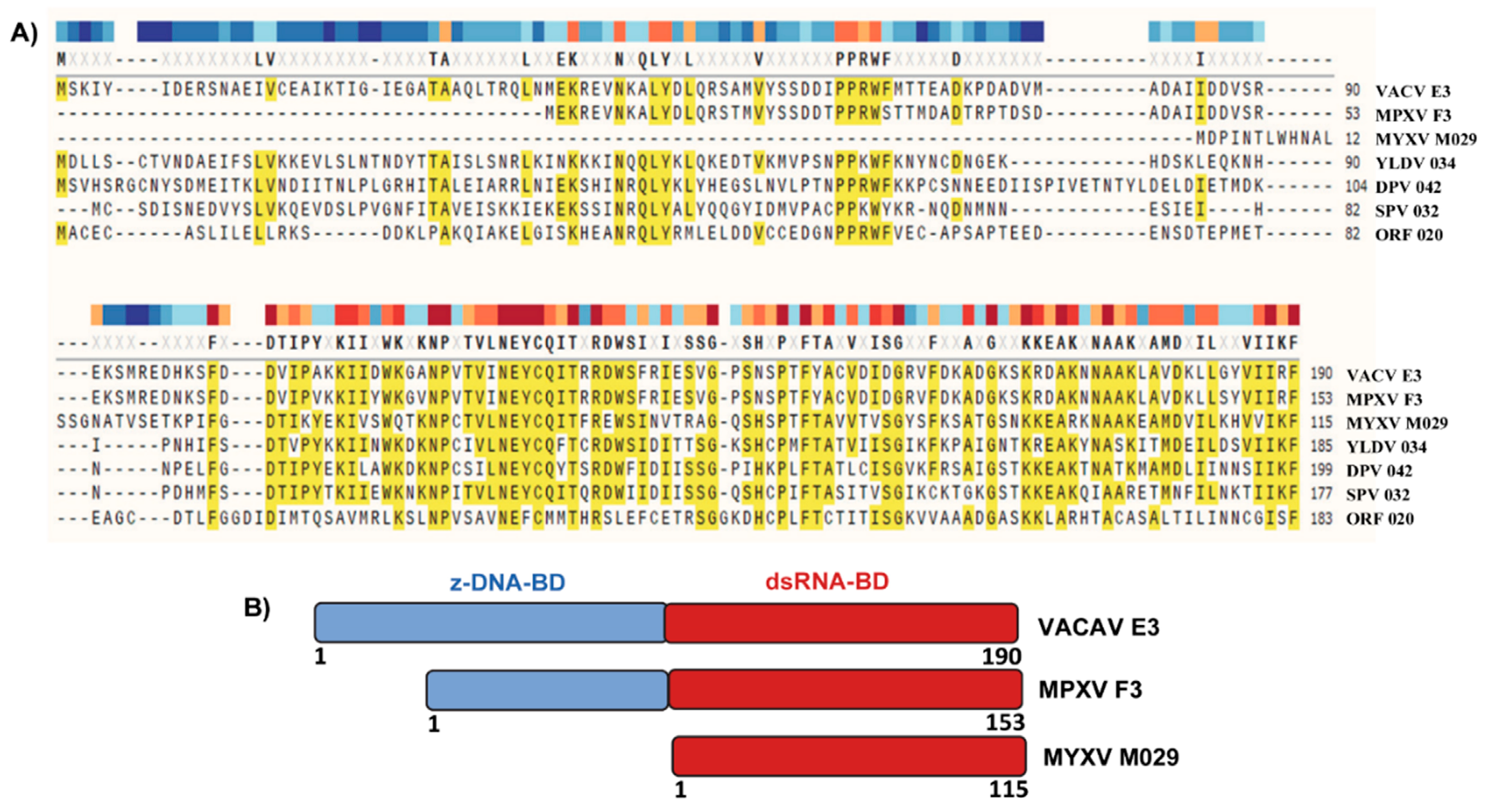 Vaccines 08 00244 g001