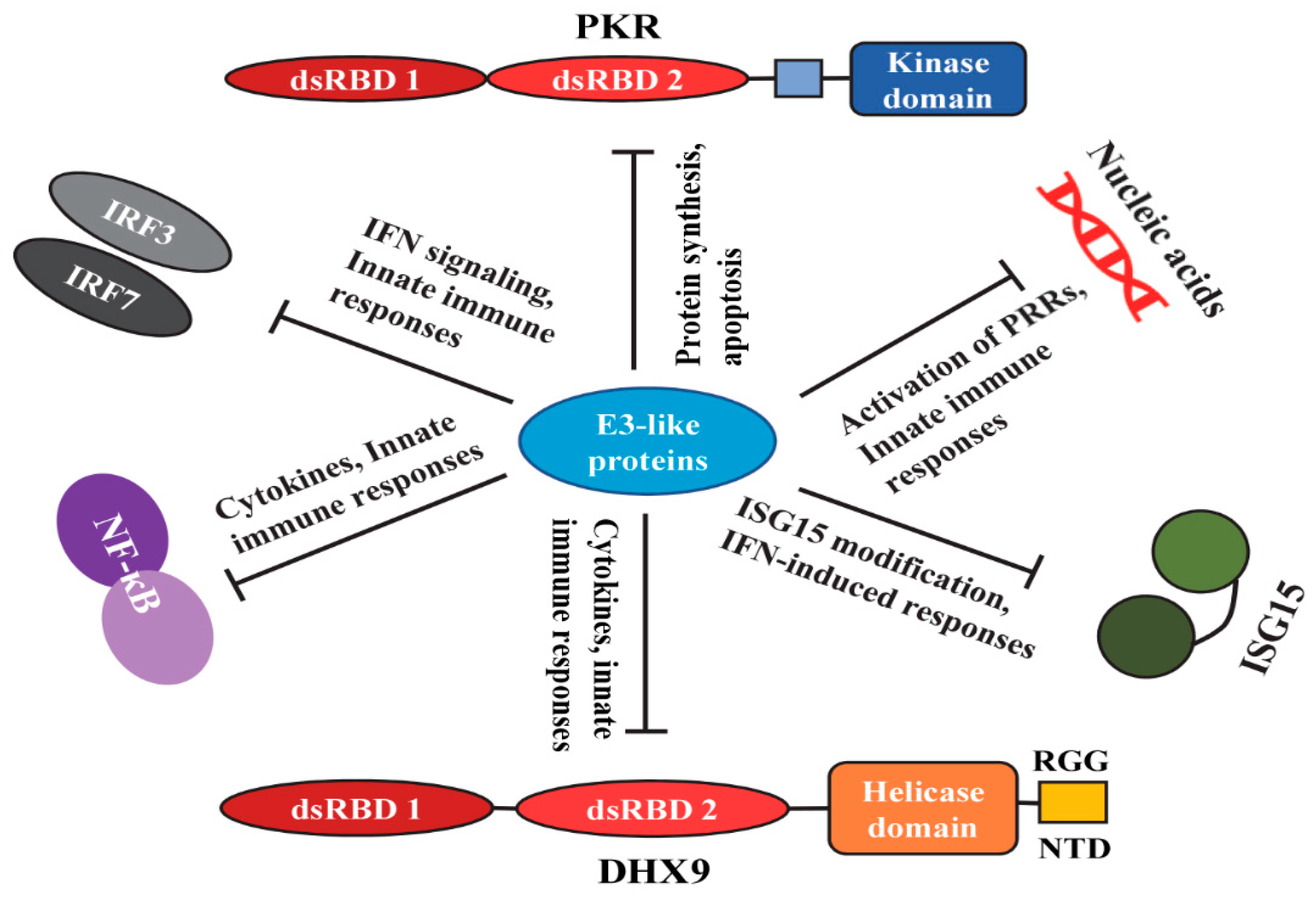 Vaccines 08 00244 g002