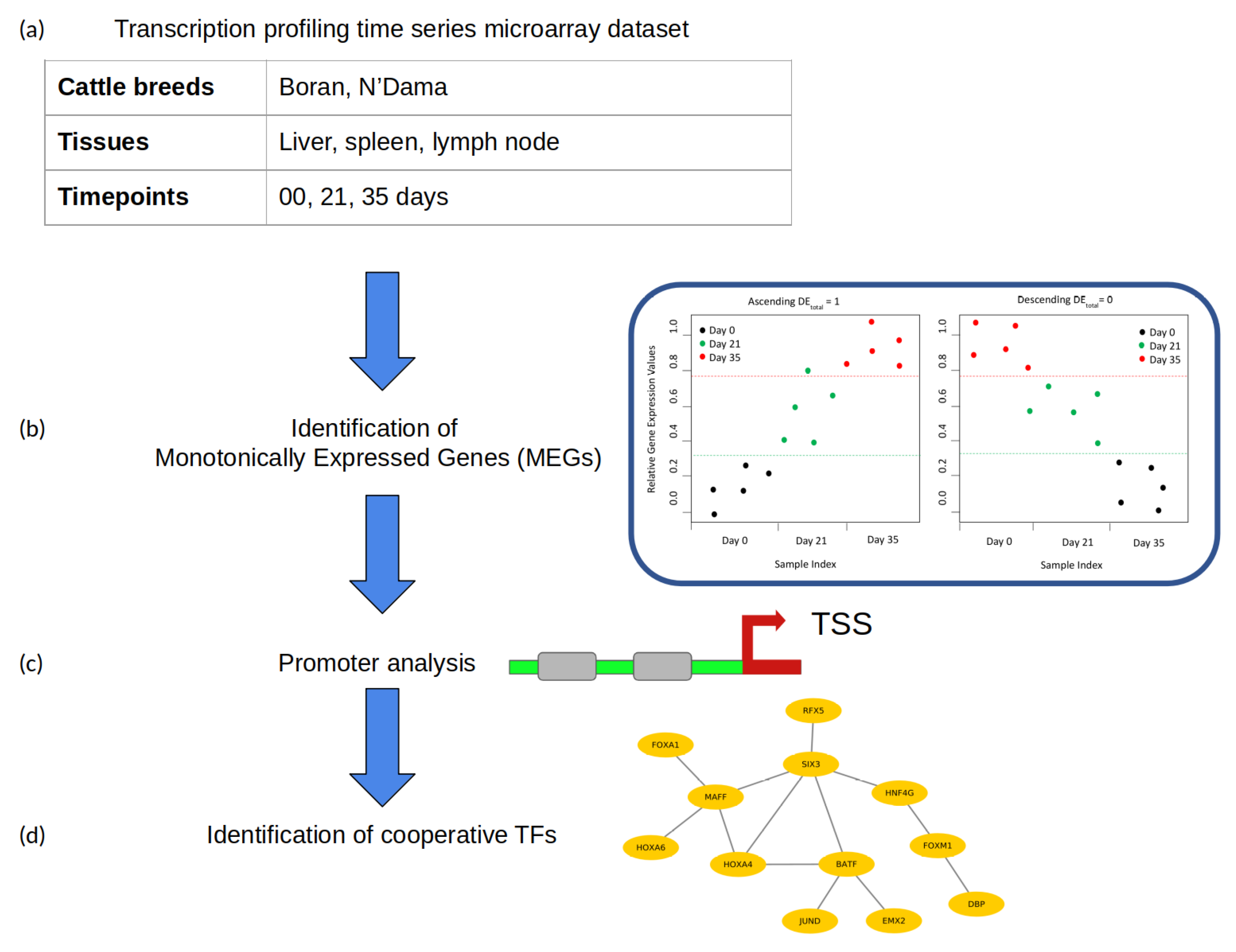 Vaccines 08 00246 g001 Vaccines 08 00246 g001