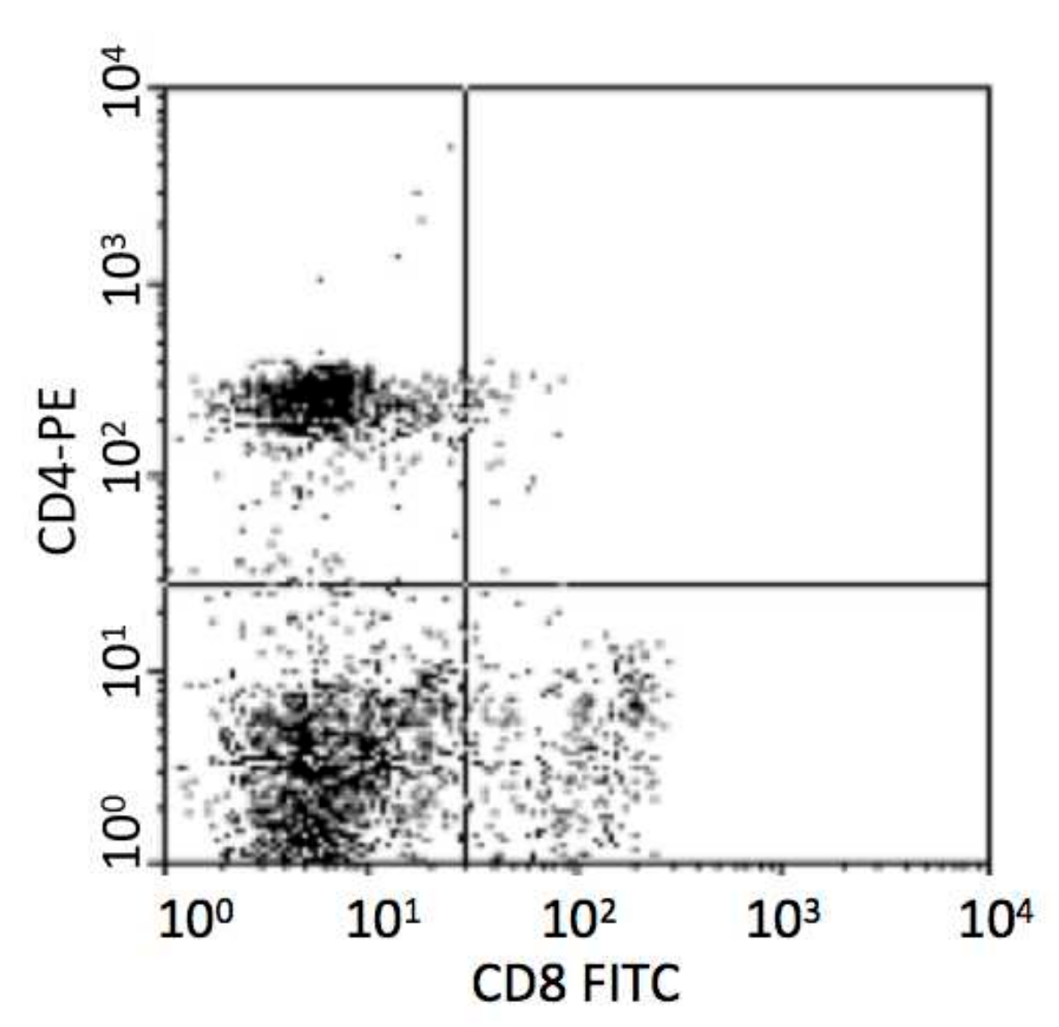 Vaccines 08 00250 g001 Vaccines 08 00250 g001