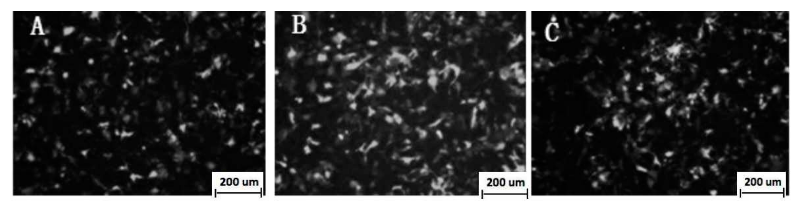 Vaccines 08 00250 g003 Vaccines 08 00250 g003
