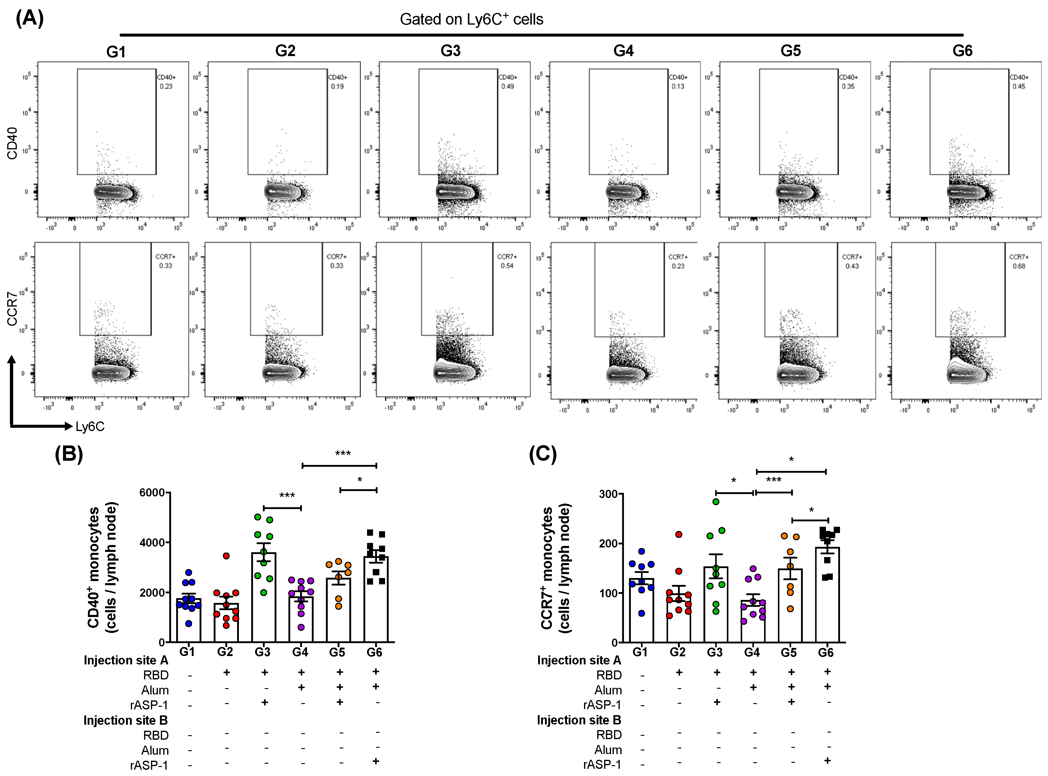 Vaccines 08 00251 g003