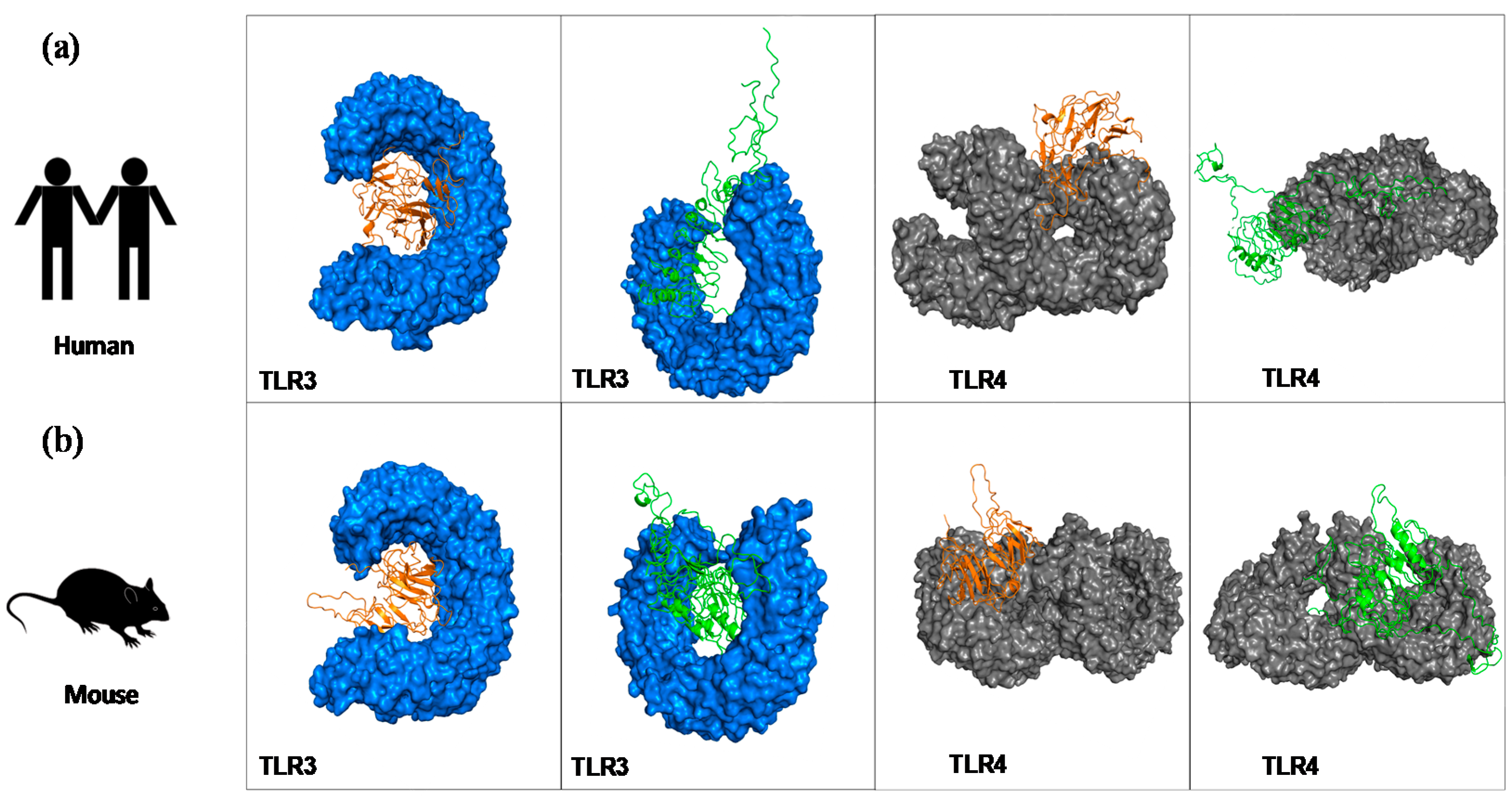 Vaccines 08 00252 g002