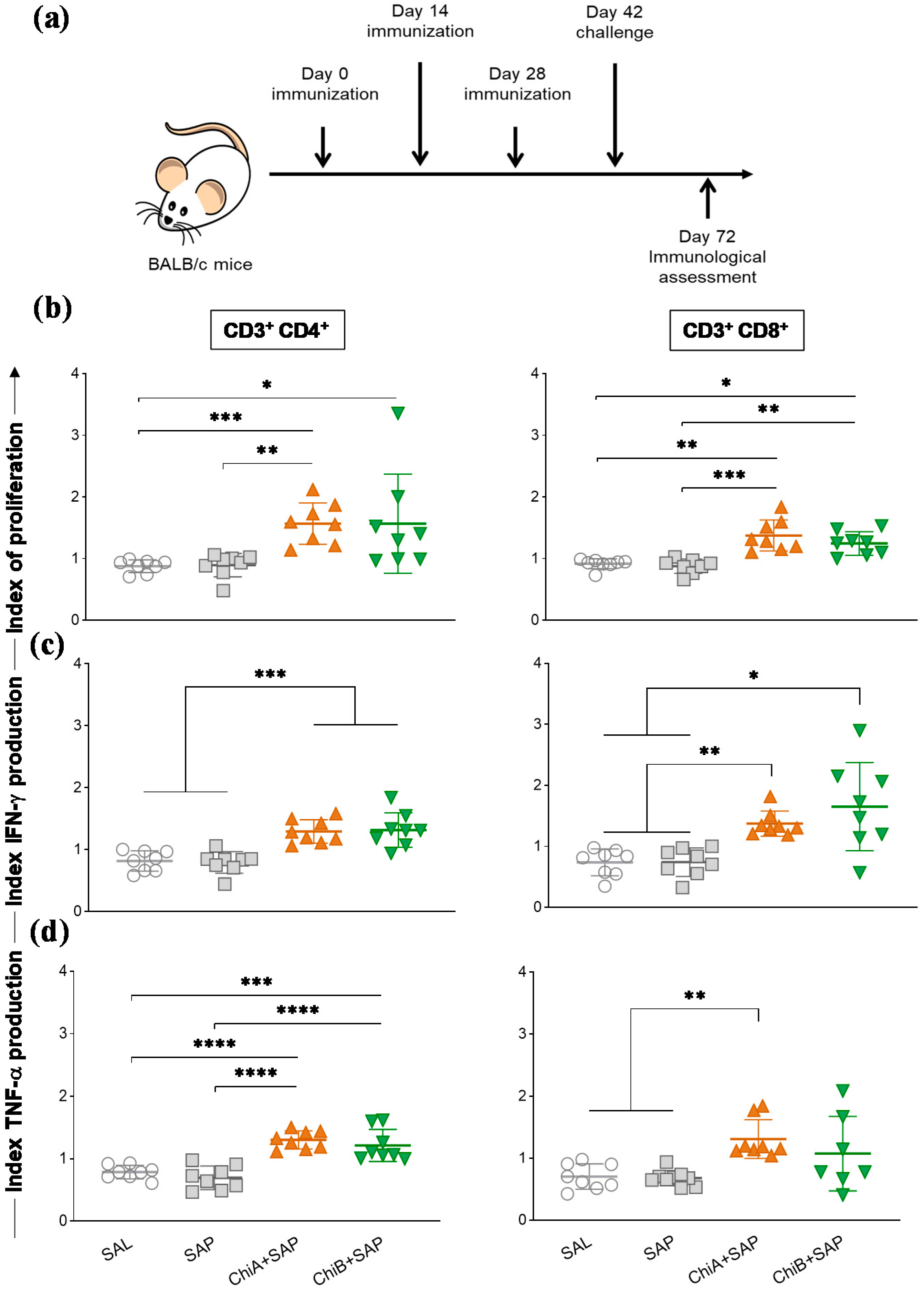 Vaccines 08 00252 g004