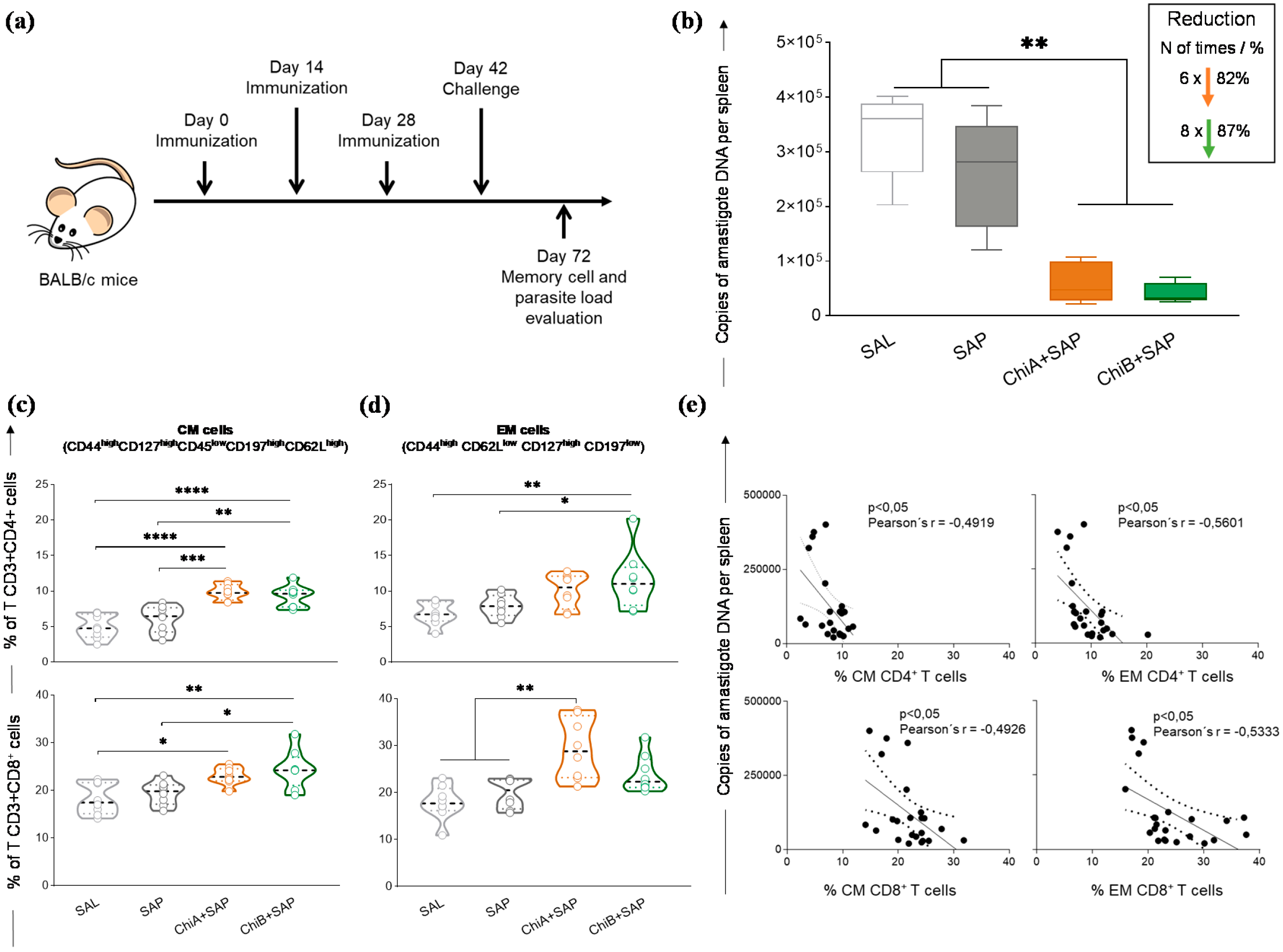 Vaccines 08 00252 g005