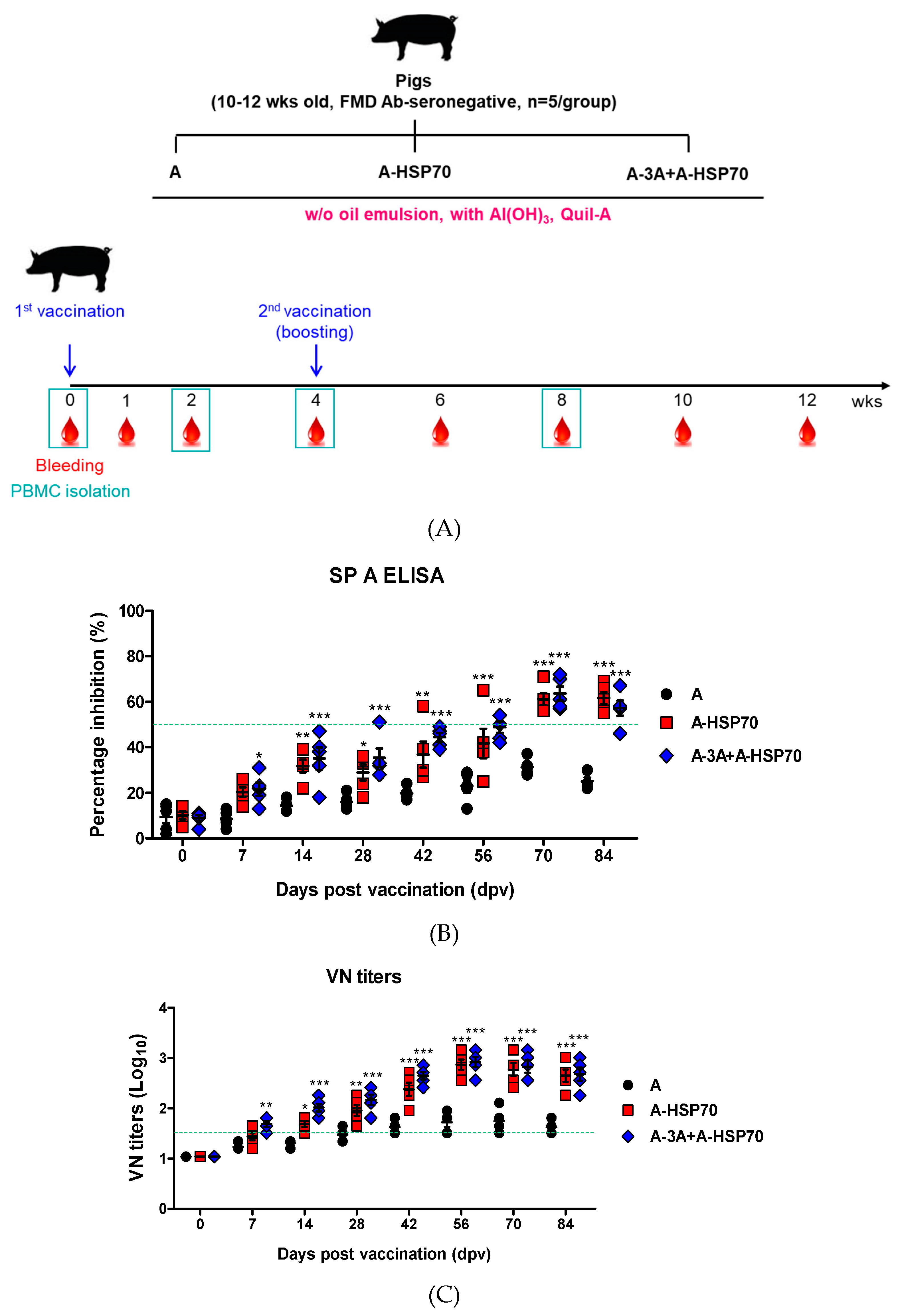 Vaccines 08 00254 g004 Vaccines 08 00254 g004