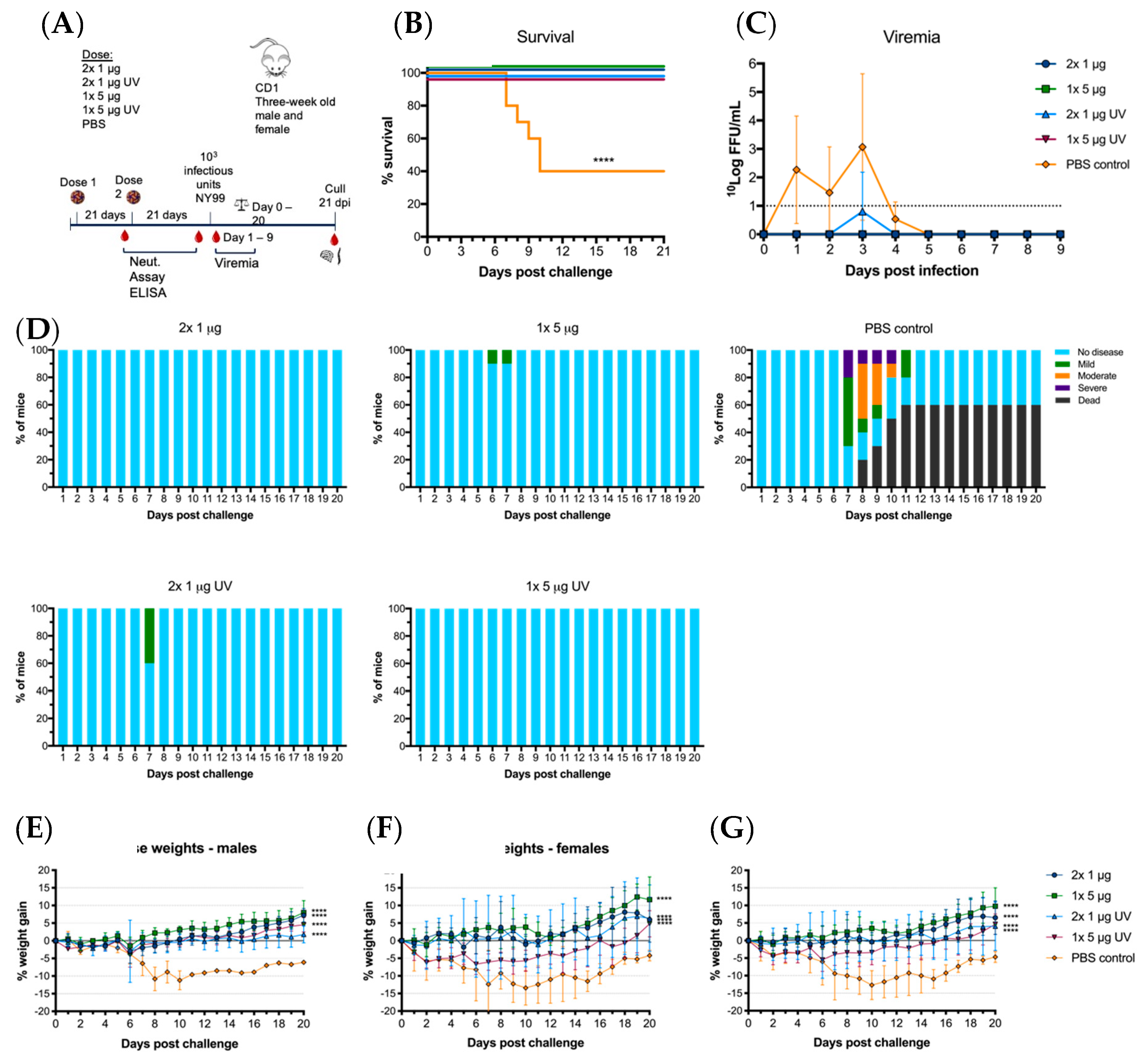 Vaccines 08 00258 g005 Vaccines 08 00258 g005